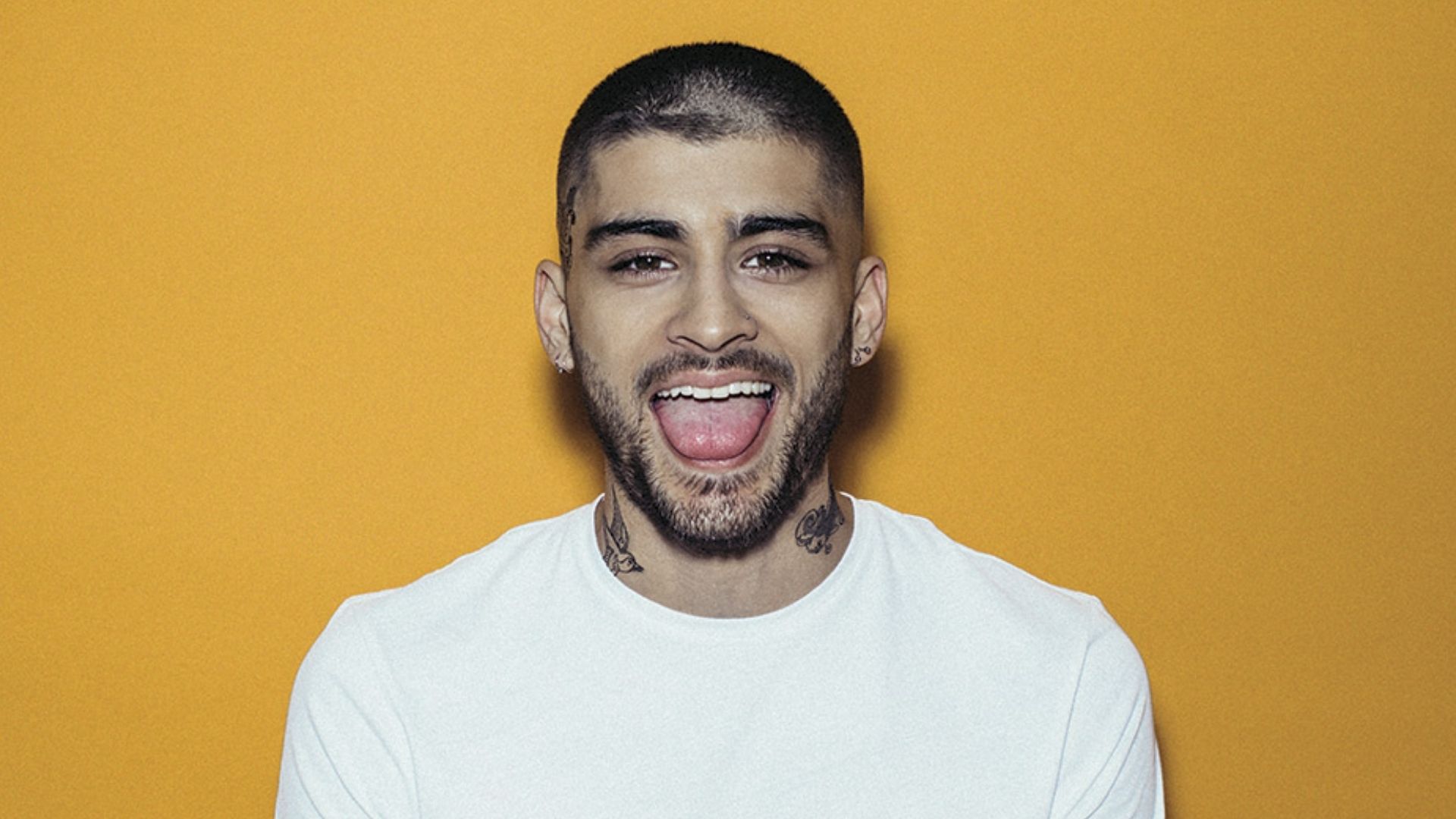 Zayn Malik