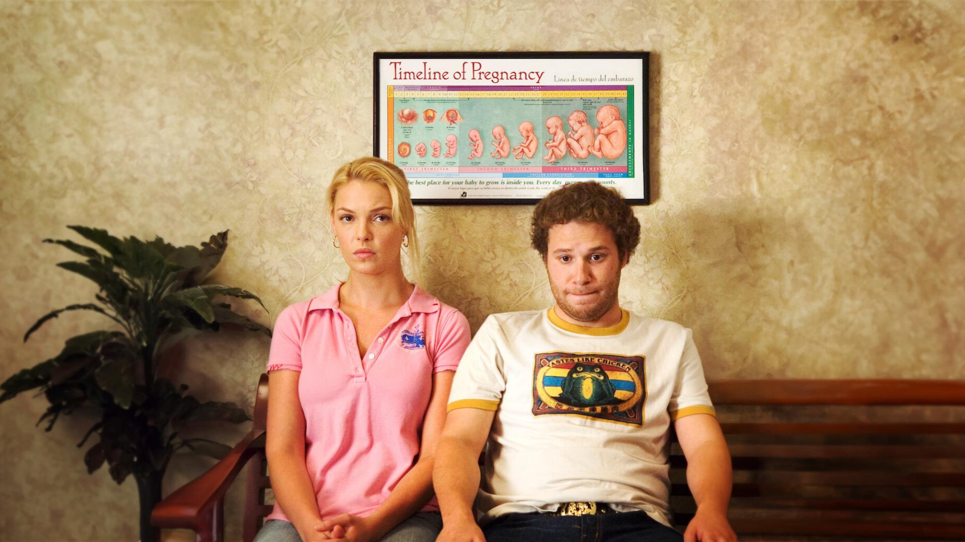 Katherine Heigl - Knocked Up (Judd Apatow)