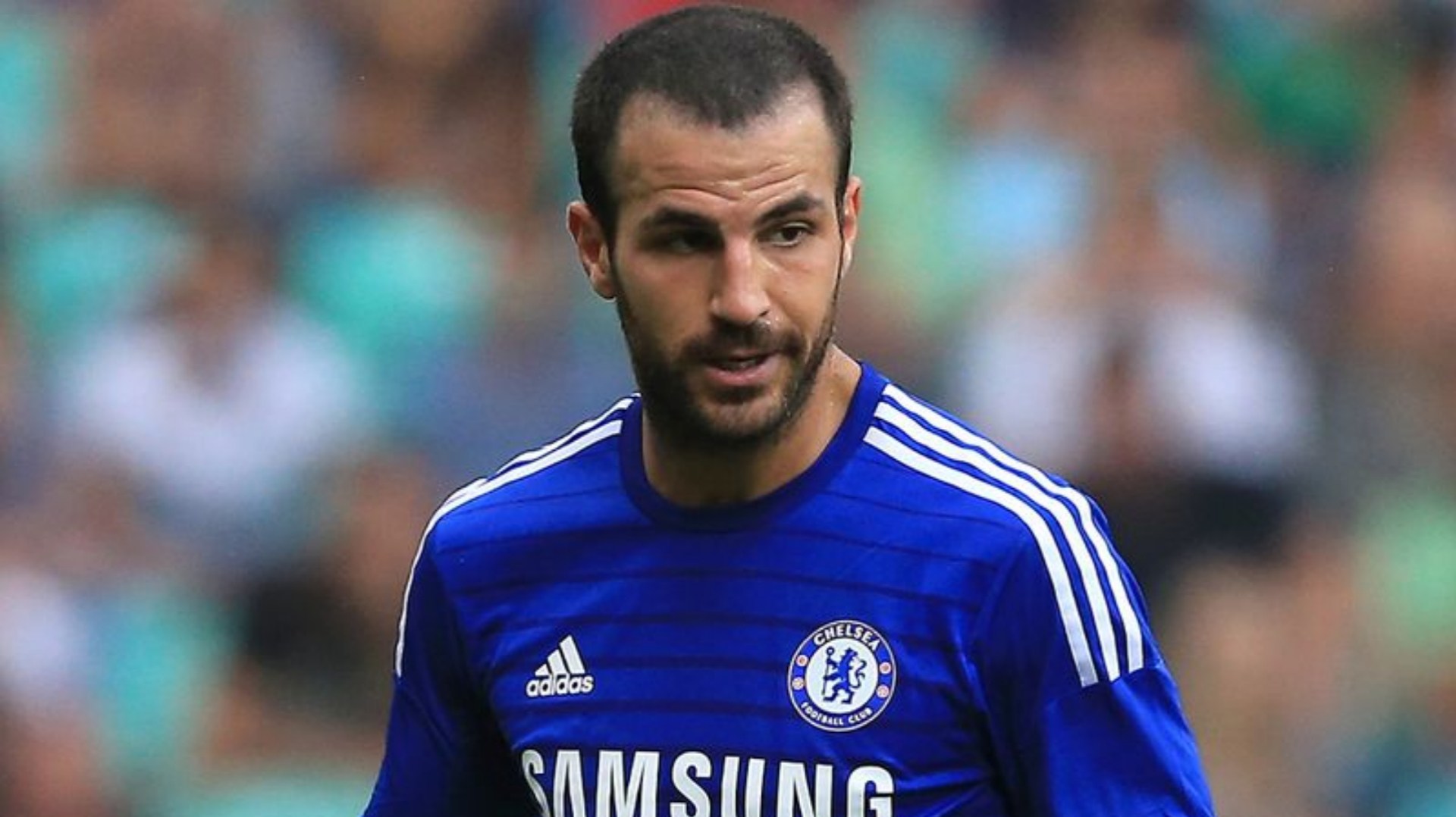 Cesc Fabregas