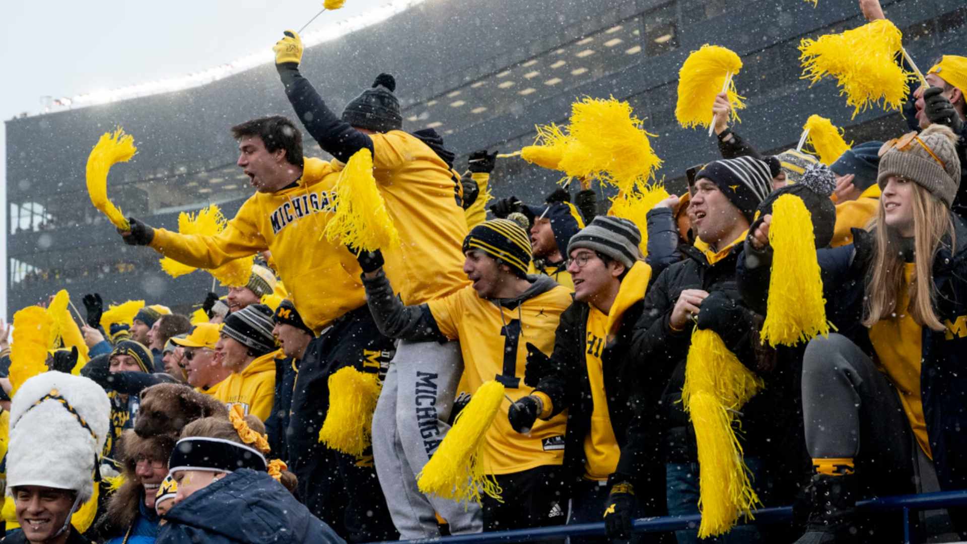 22. Michigan Wolverines