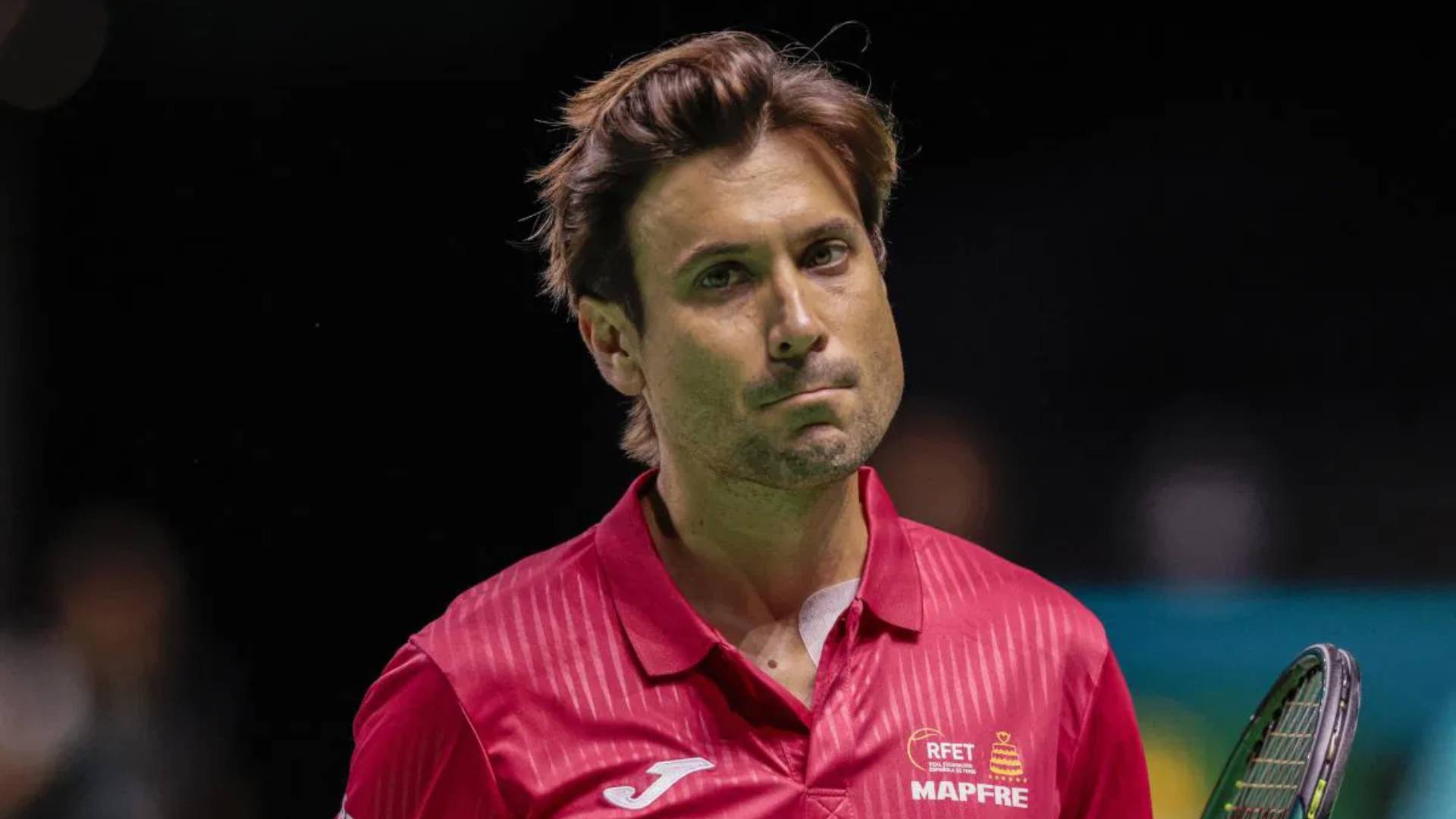 14. David Ferrer