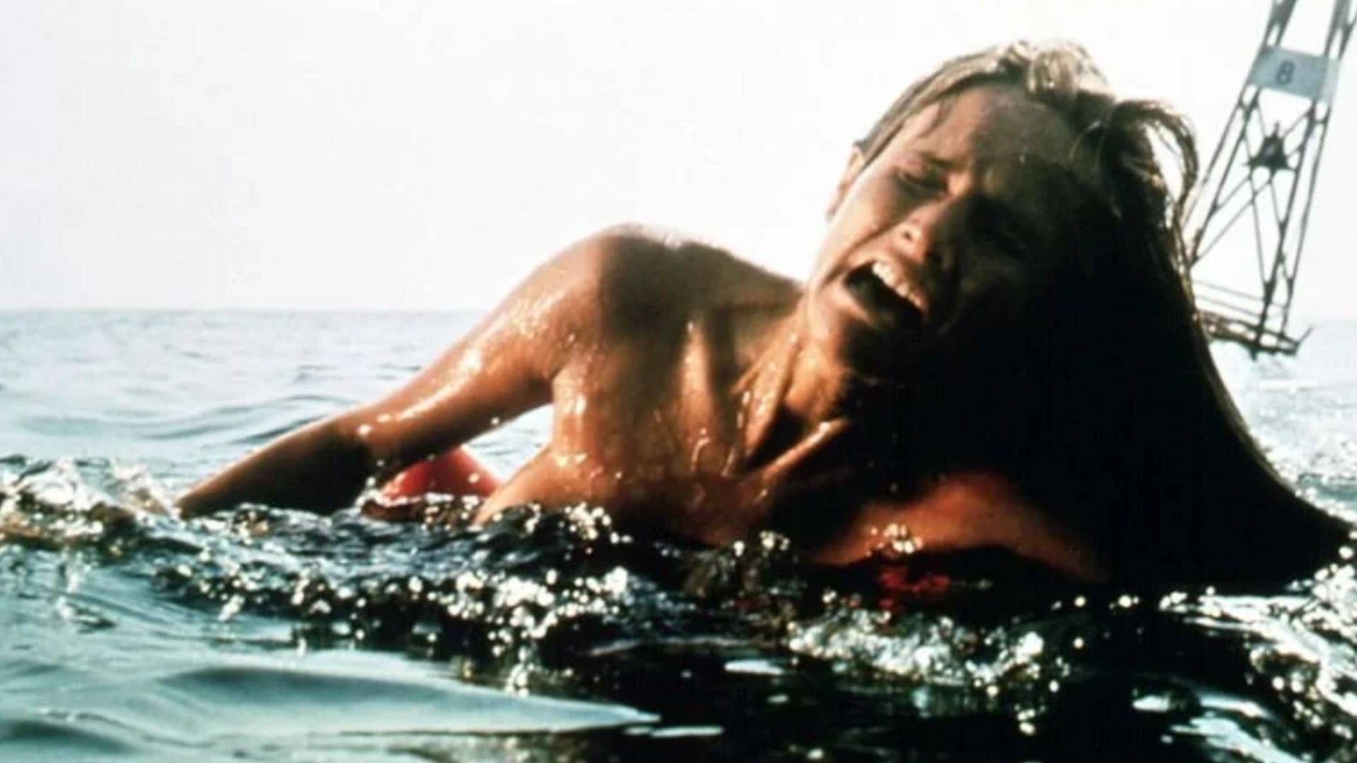 Jaws