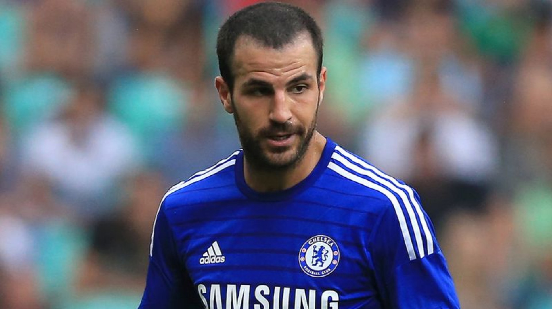 Cesc Fabregas