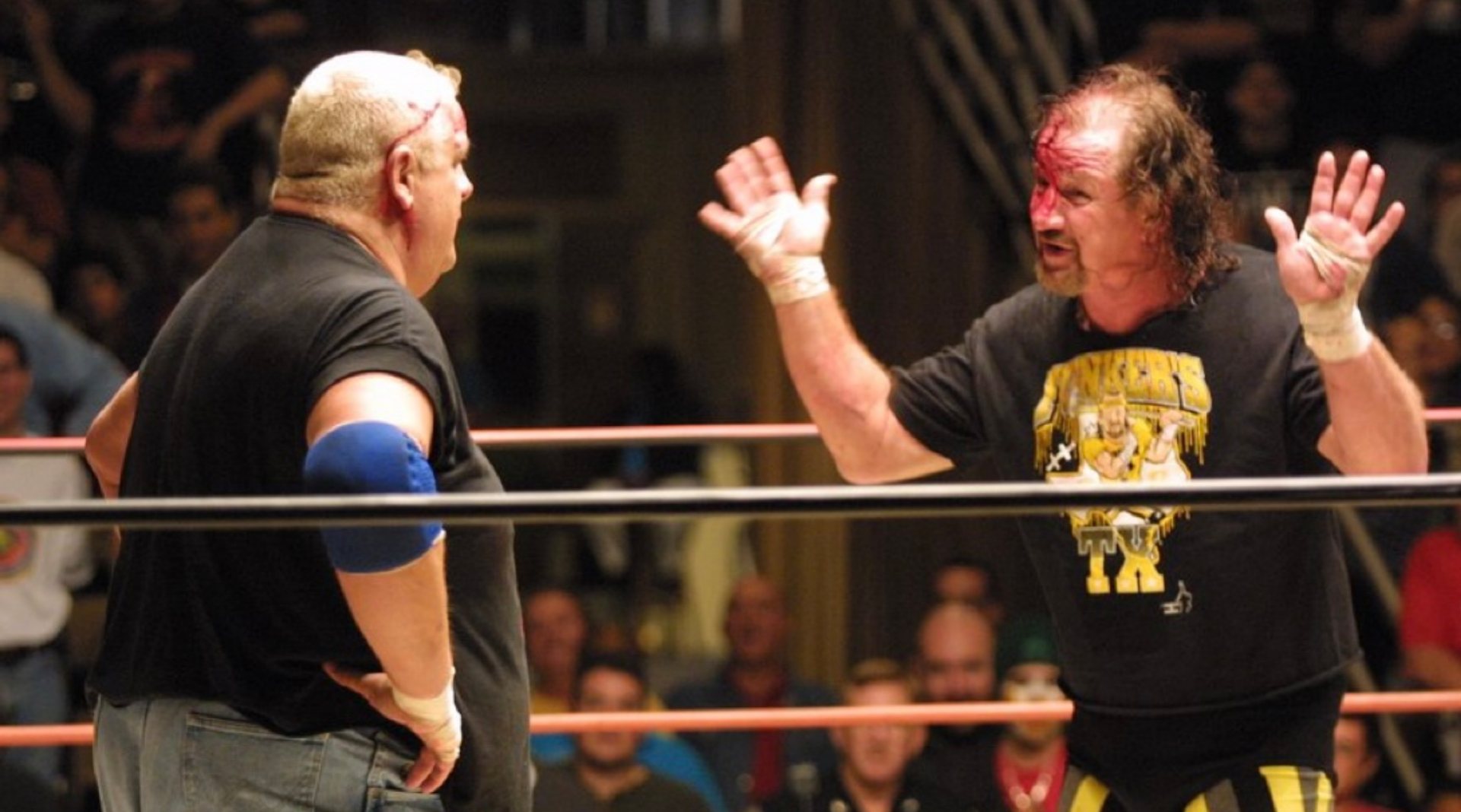 19) Dusty Rhodes vs. Terry Funk