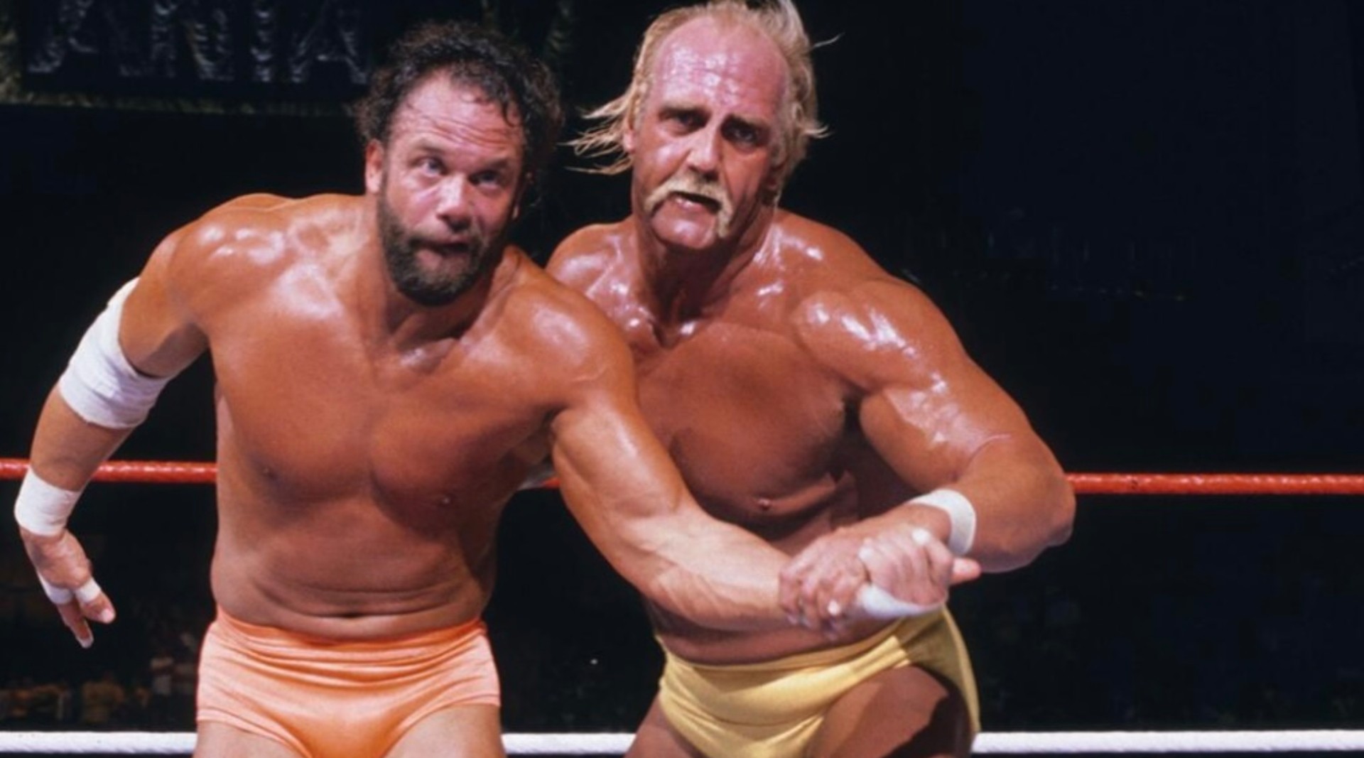 12) Hulk Hogan vs. Randy Savage