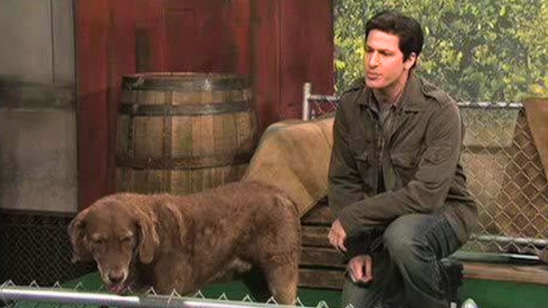 Mark Wahlberg Talks to Animals