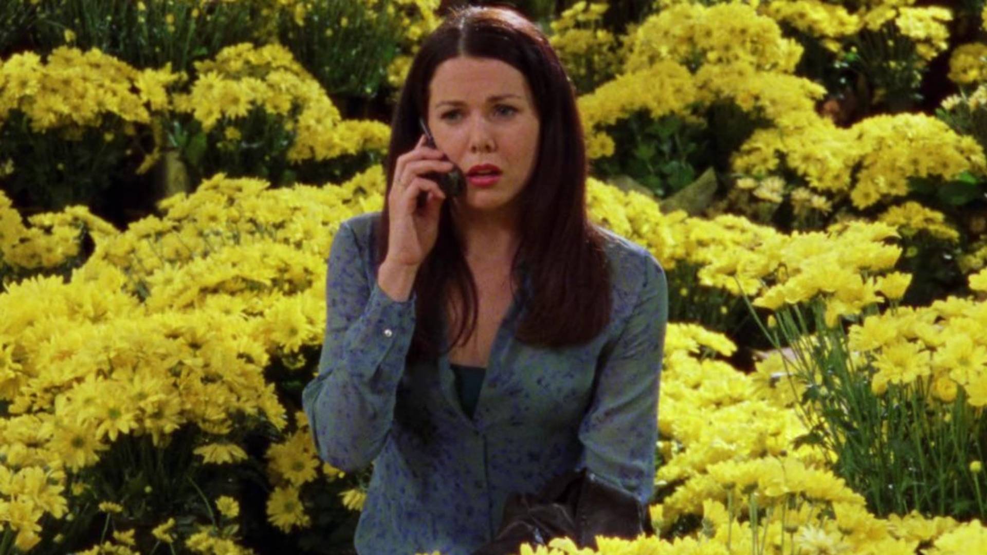 There Were More Than 1,000 Yellow Daisies During Max’s Proposal to Lorelai
