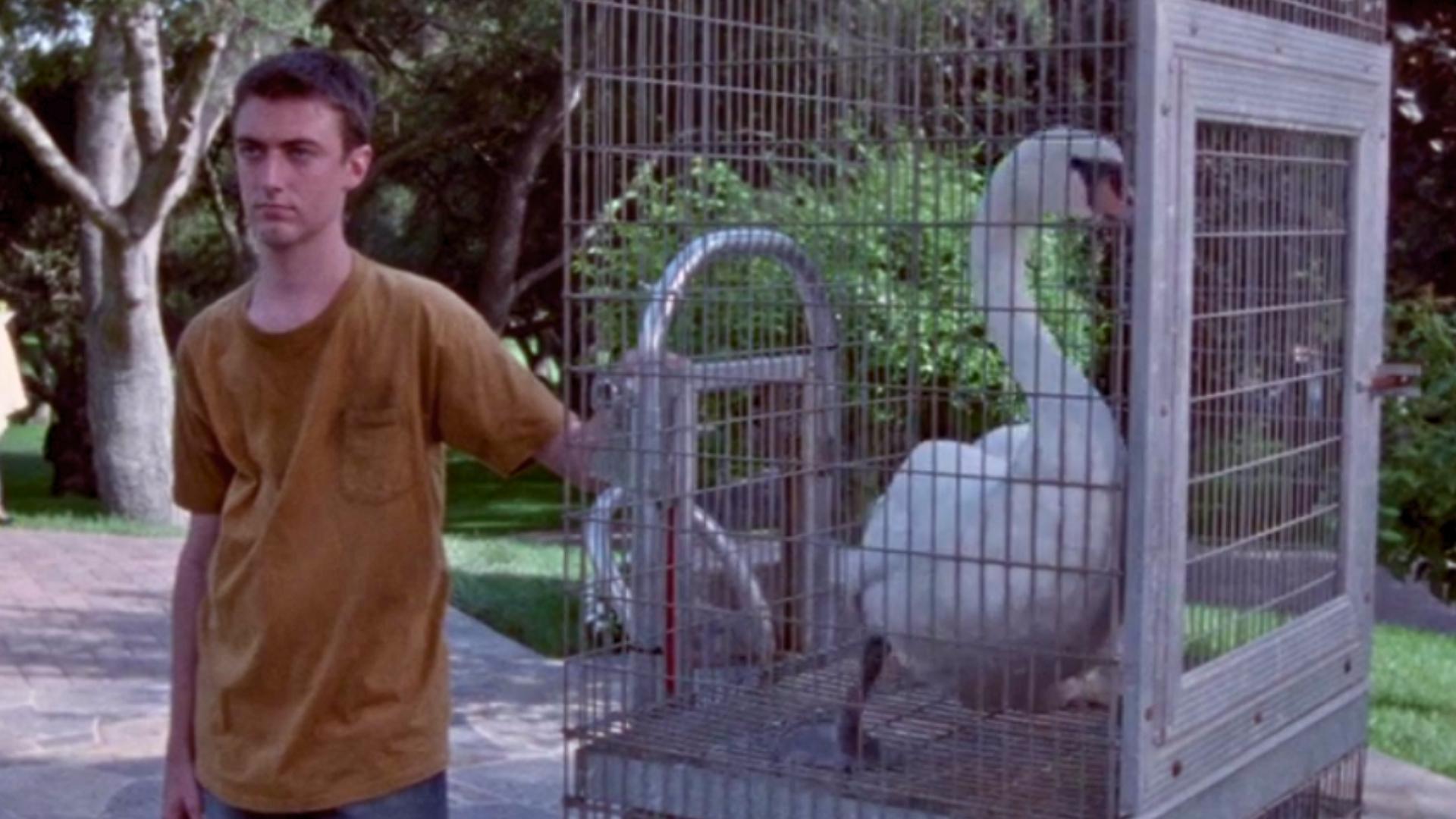 Sean Gunn Originally Appeared as “Mick” and “Swan Guy”