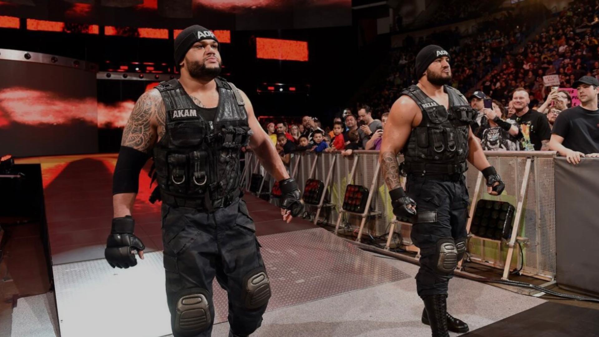 4. The Authors of Pain