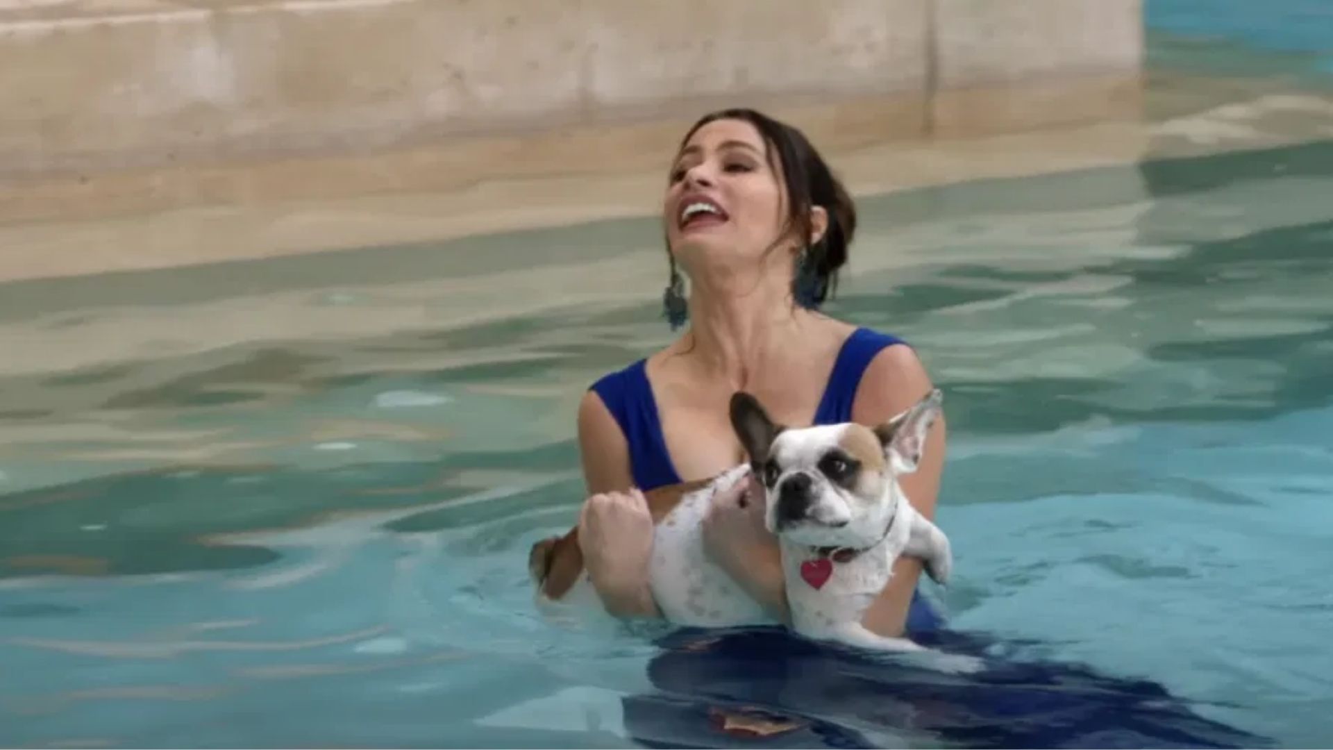 Sofia Vergara vs. Stella (On And Off Camera)