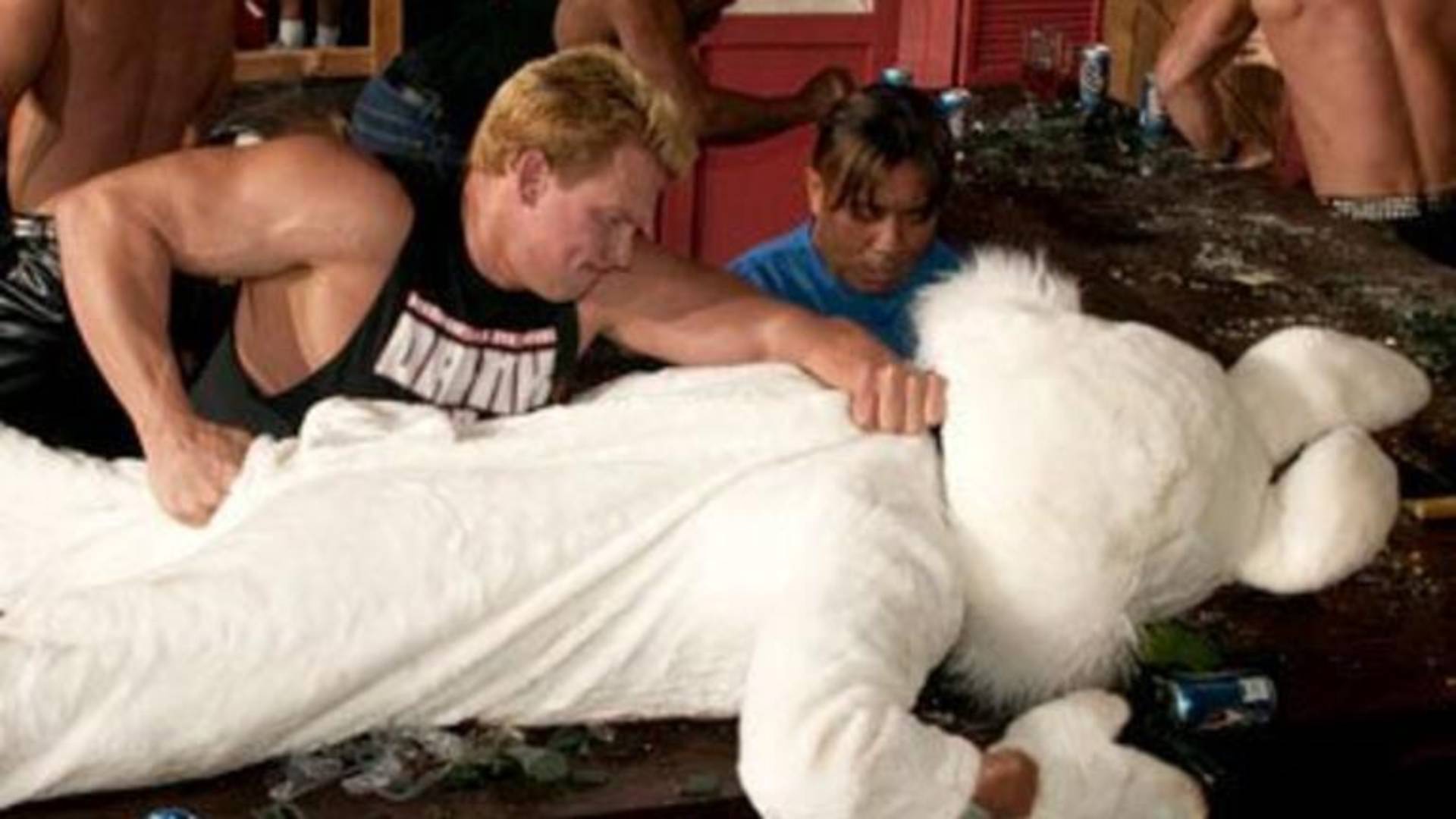 5. Pub Enemies – APA Battle at Vengeance (2003)