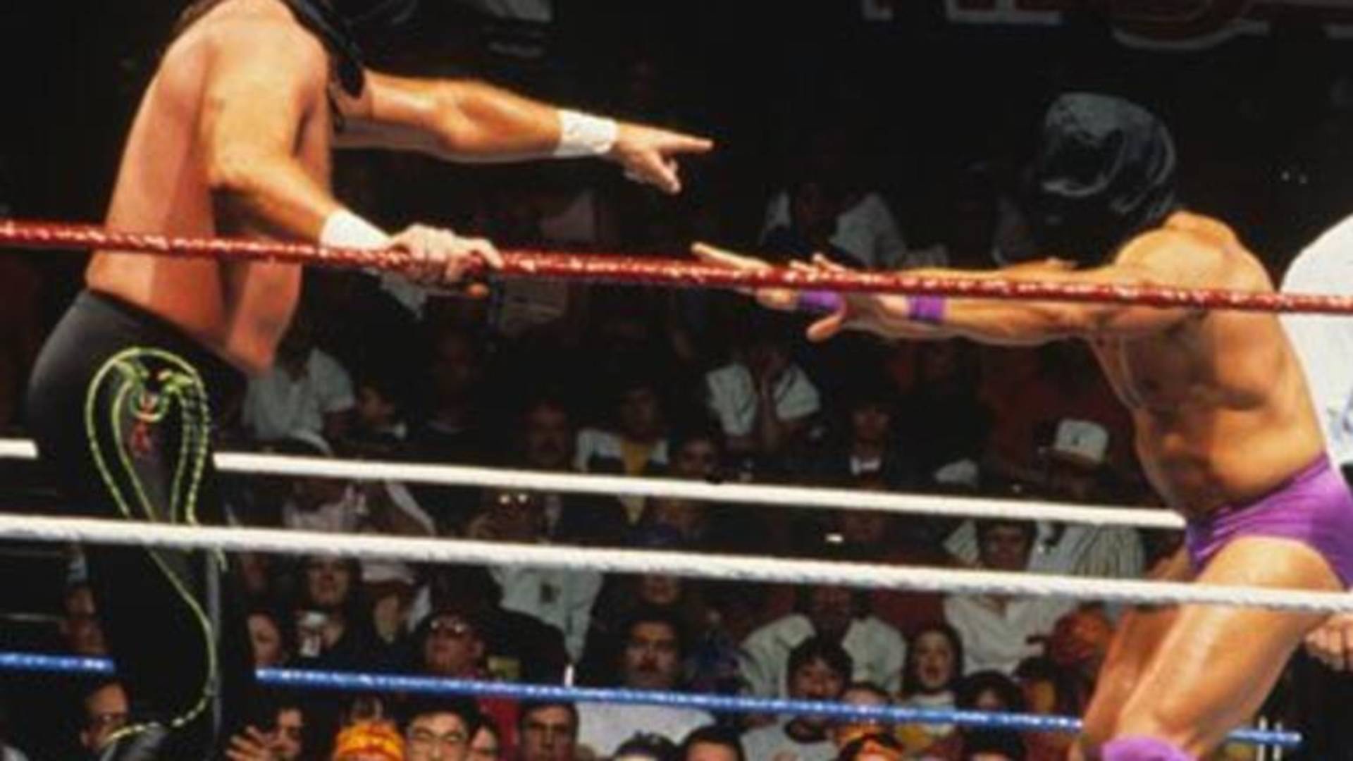 4. Blindfold Match – Rick Martel vs. Jake Roberts (WrestleMania VII)