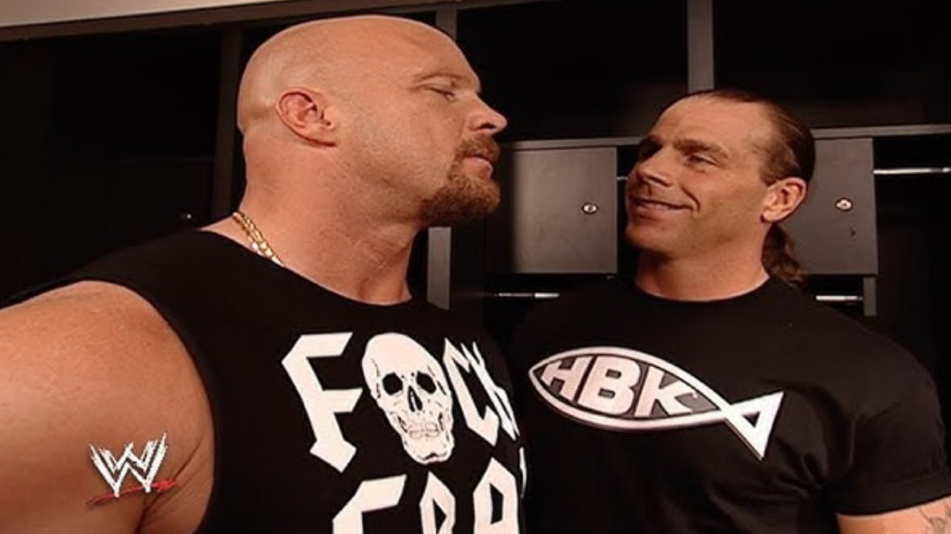 18- Stone Cold's career is over? (Survivor Series 2003)