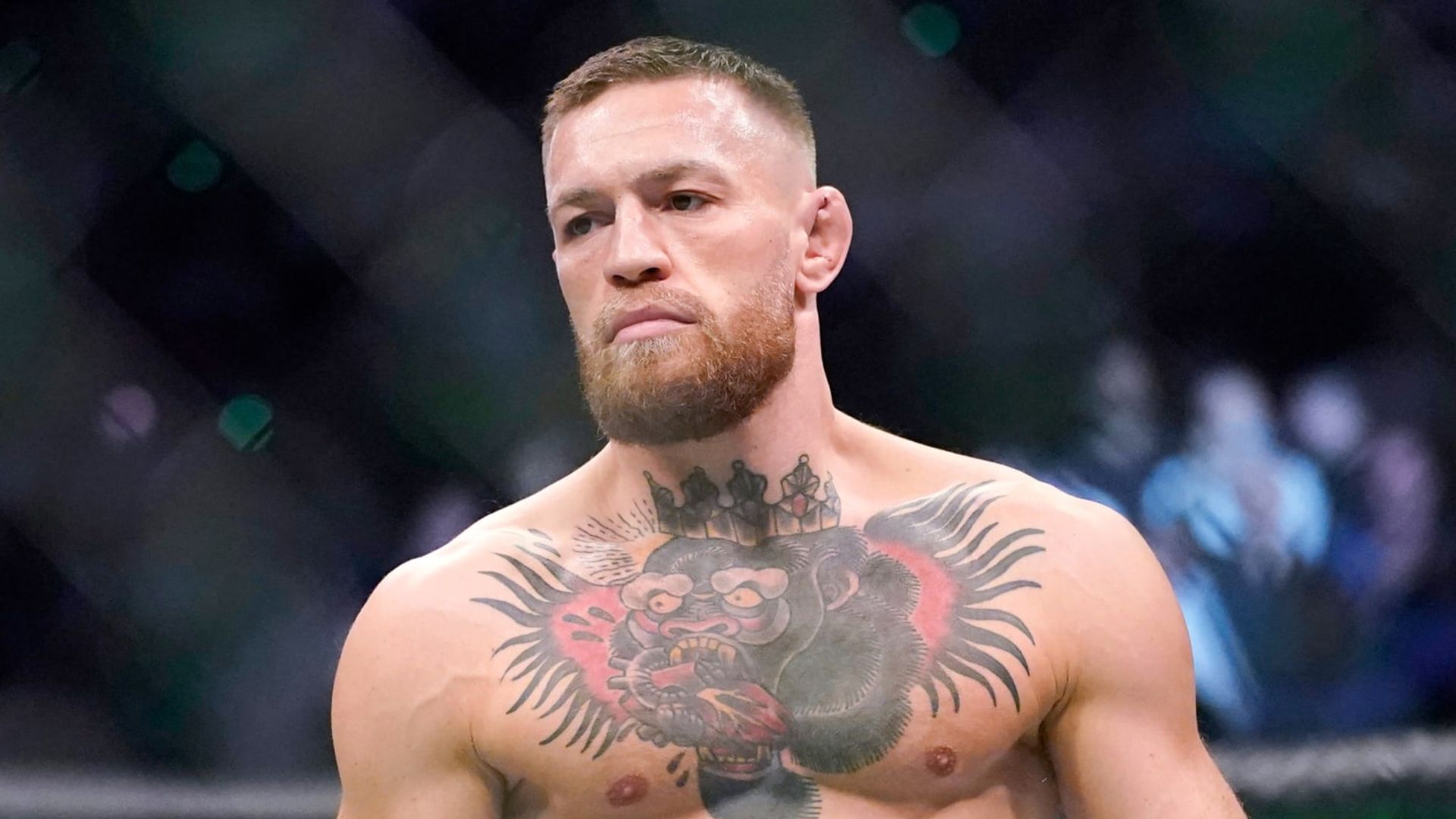 12 - Conor McGregor ($200 Million+ in MMA and Boxing)