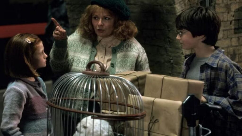Harry and Ginny First Meeting