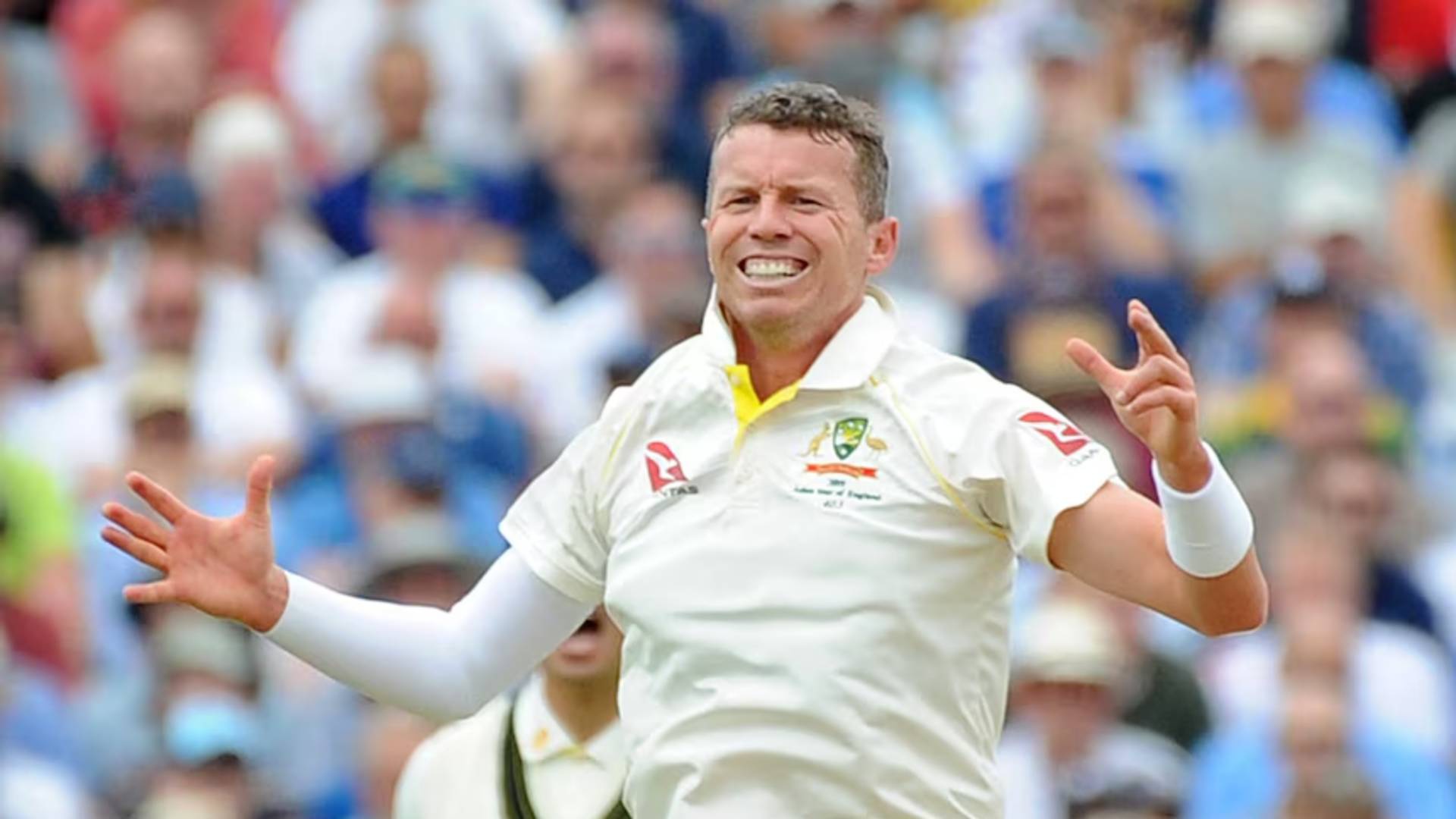 23. Peter Siddle