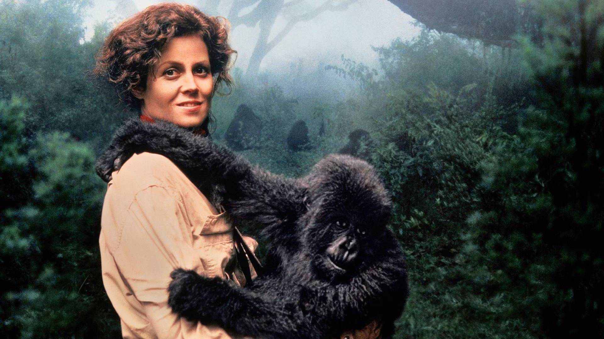 8. Gorillas in the Mist (1988)