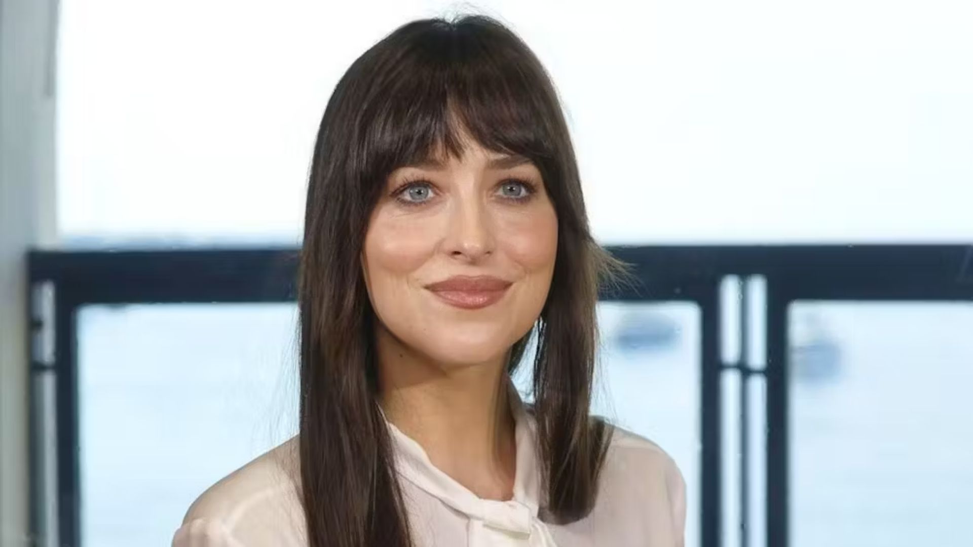 Dakota Johnson Was Hesitant About Playing Anastasia