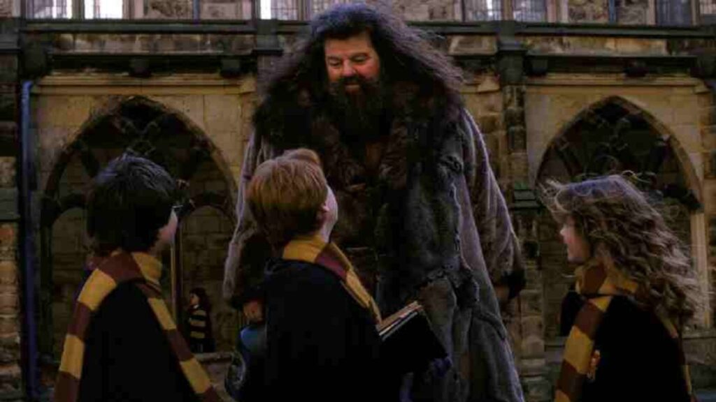 Hagrid
