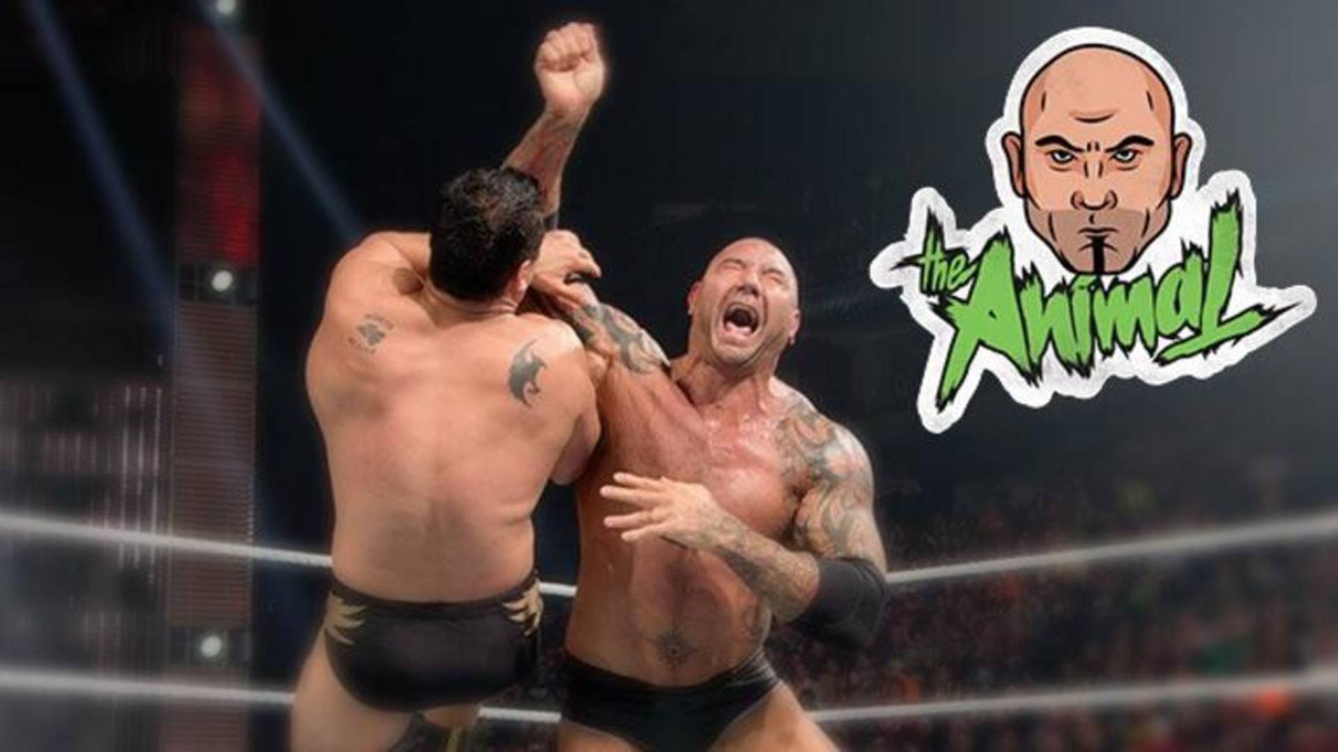 17.⁠ ⁠The Animal (Batista)