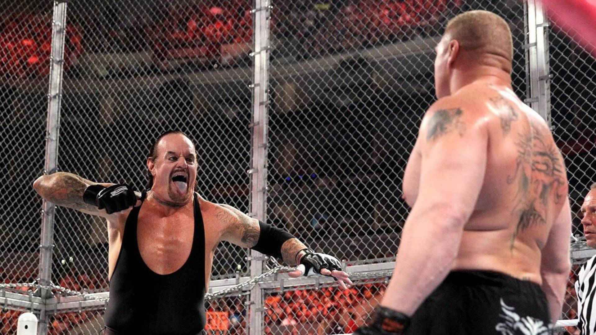 11- The Undertaker vs. Brock Lesnar - Hell in a Cell 2015