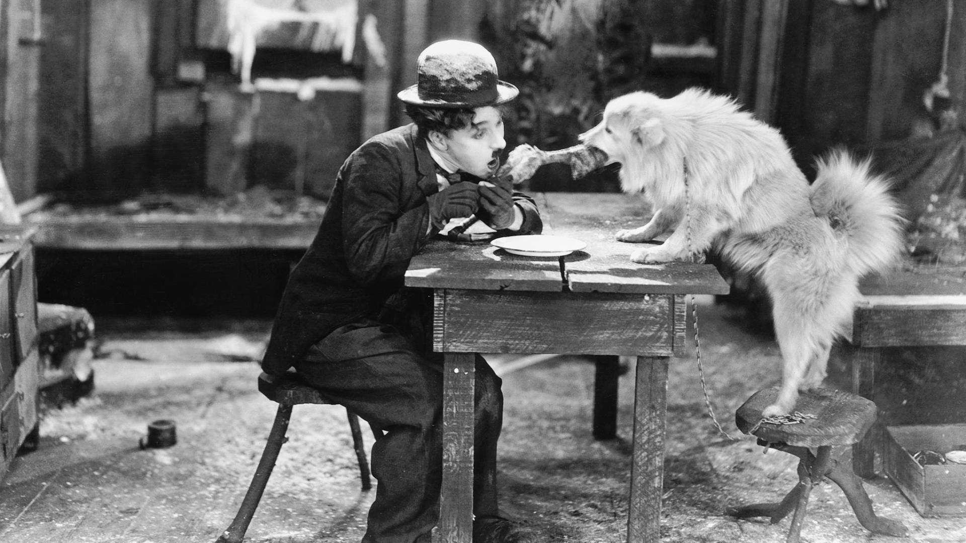 16. The Gold Rush (1925)