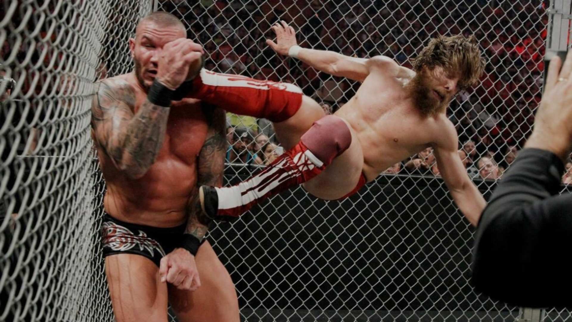 20.⁠ ⁠Daniel Bryan vs. Randy Orton — WWE Hell in a Cell 2013
