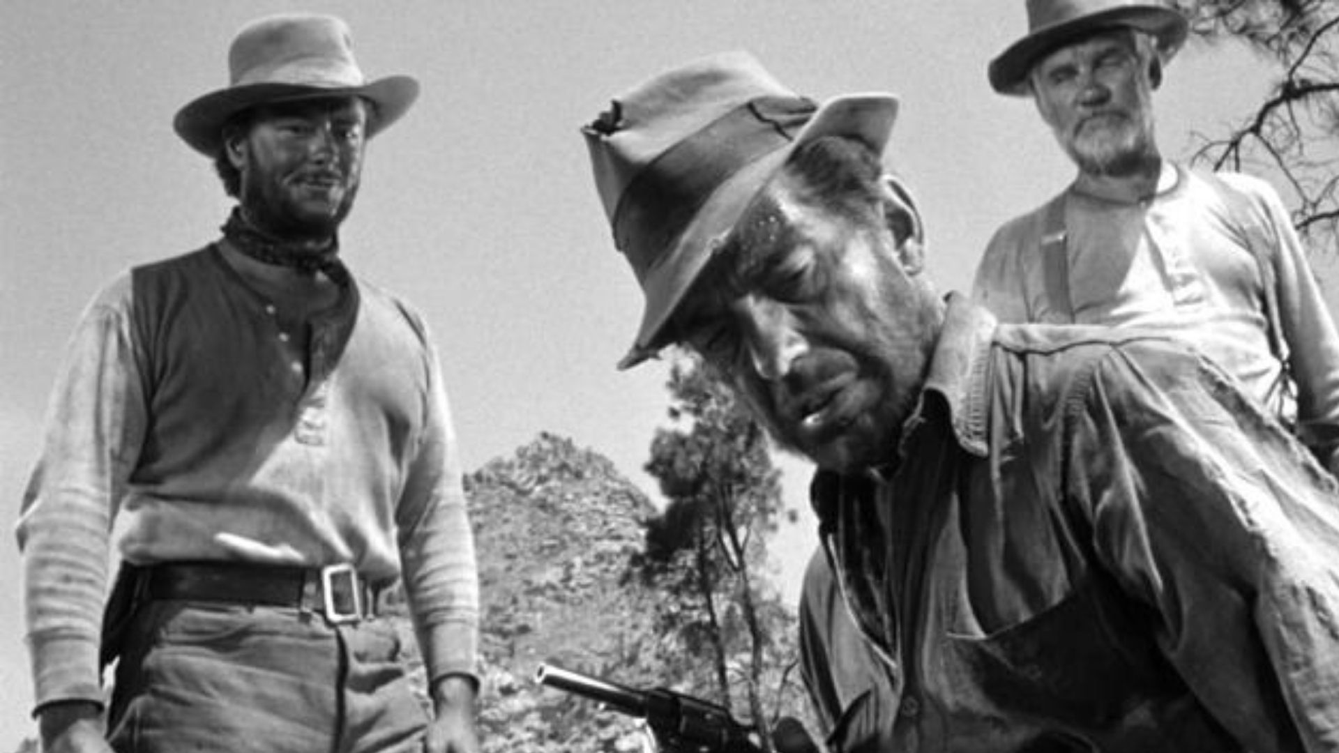 The Treasure of the Sierra Madre (1948)