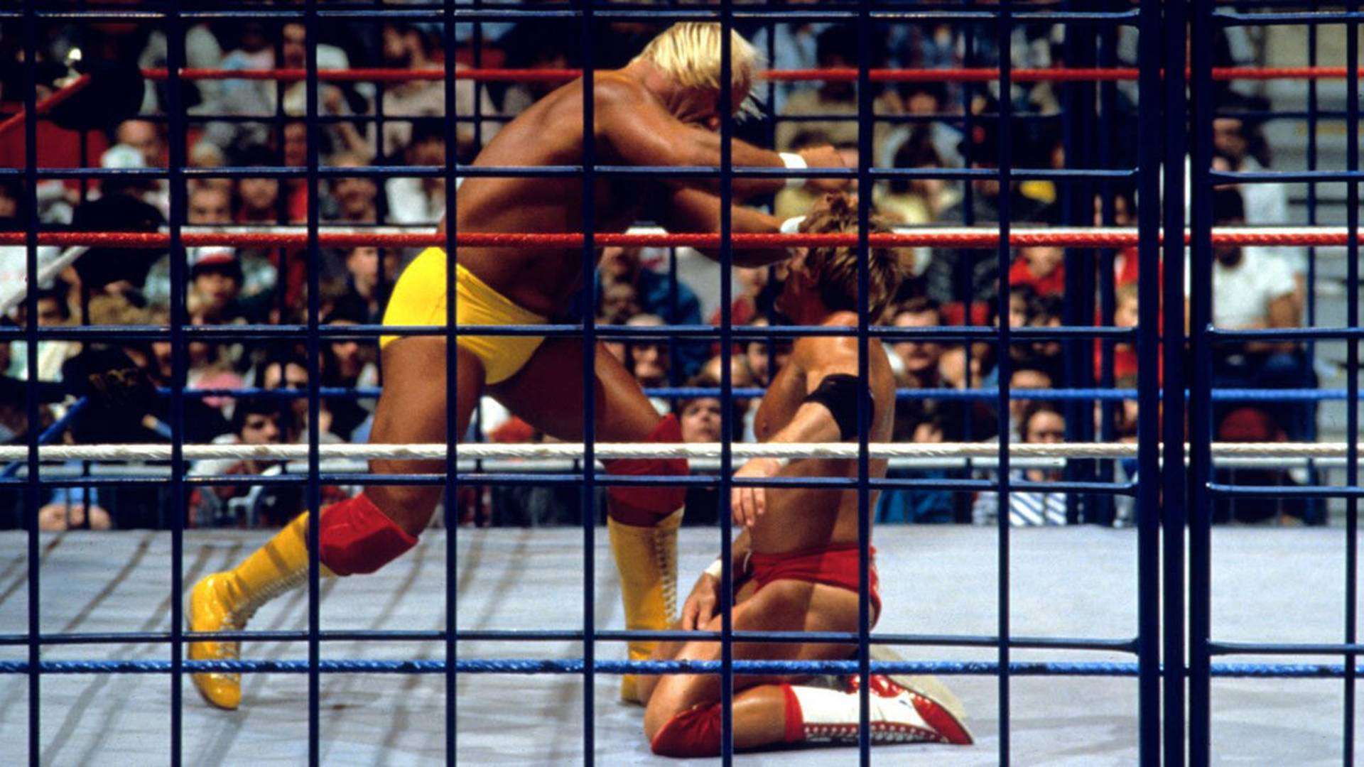 2- Hulk Hogan (c) vs. Paul Orndorff (SNME IX - Jan. 3, 1987)