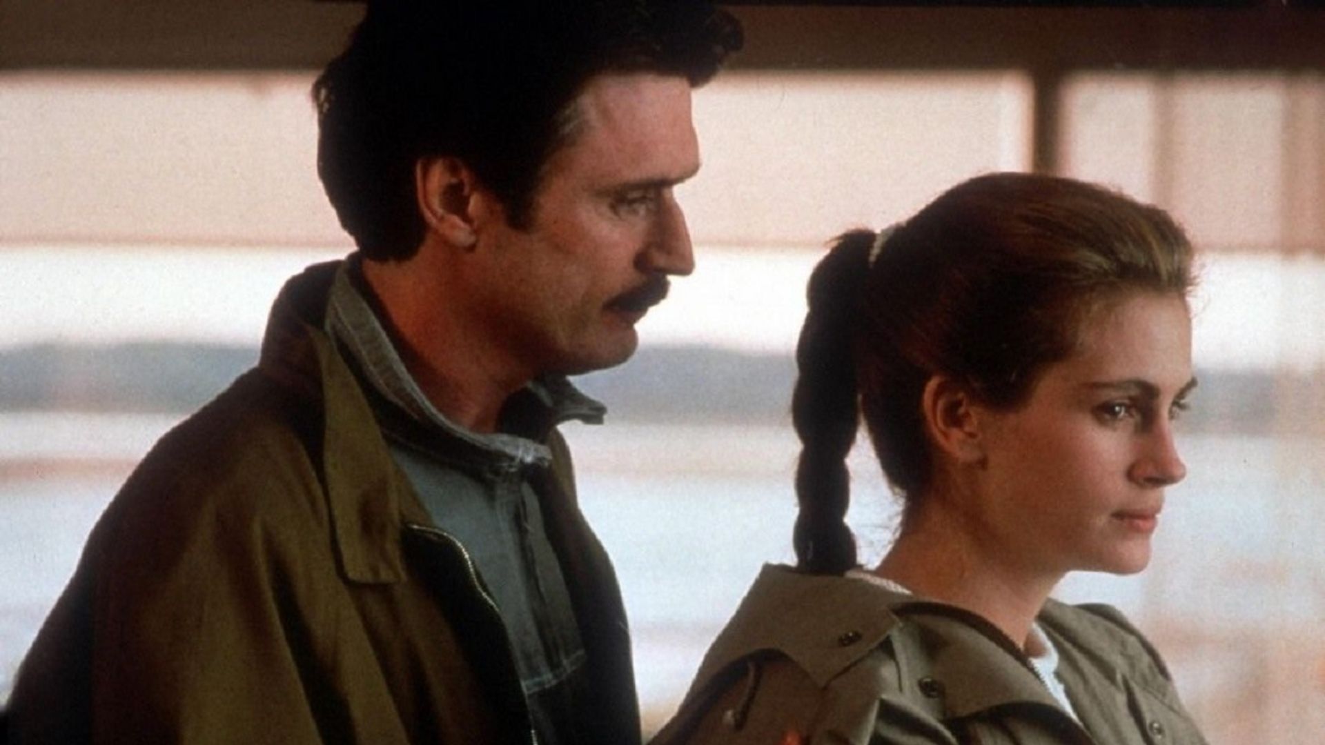 17. Sleeping with the Enemy (1991)