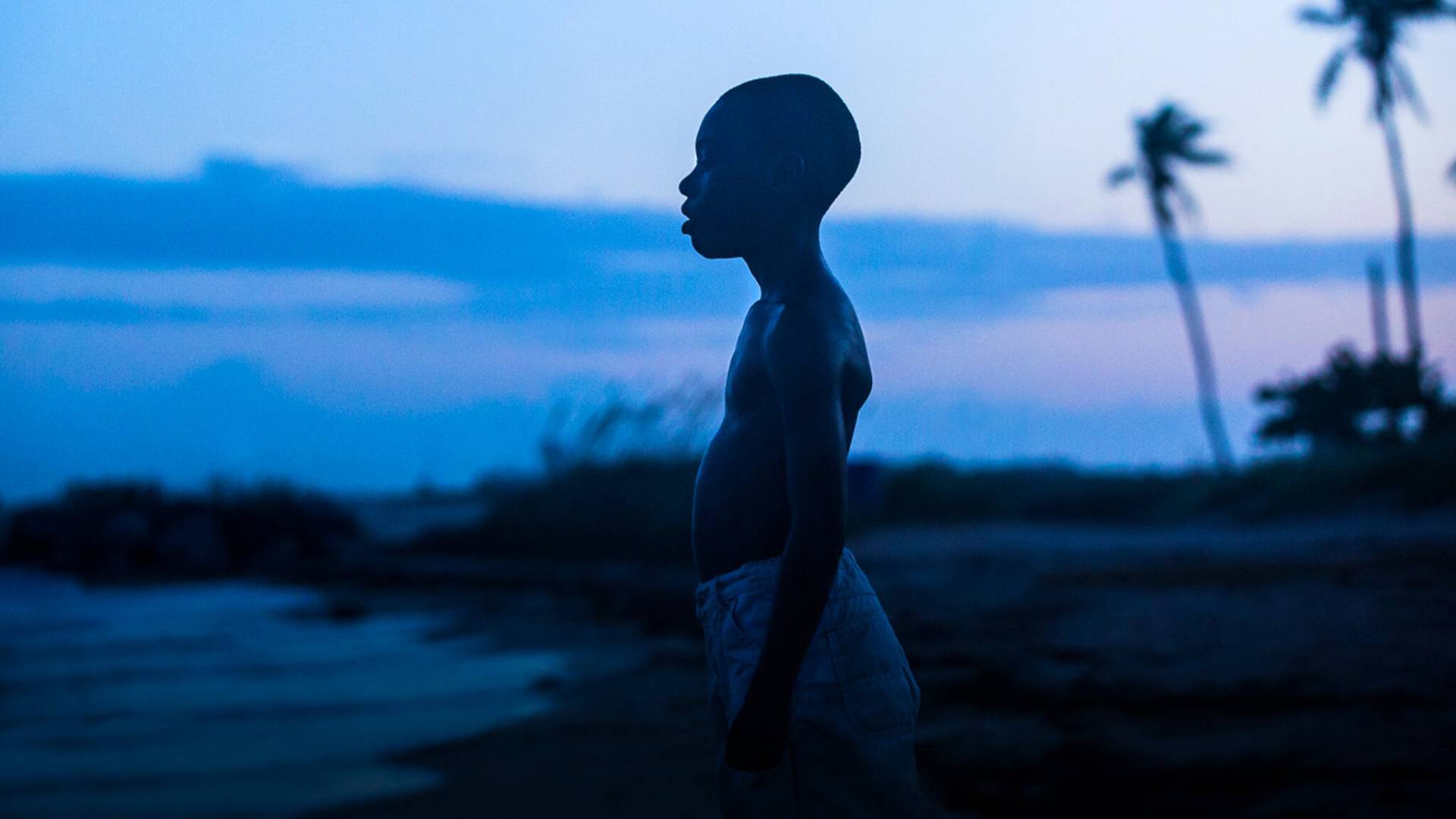 2. Moonlight (2016)