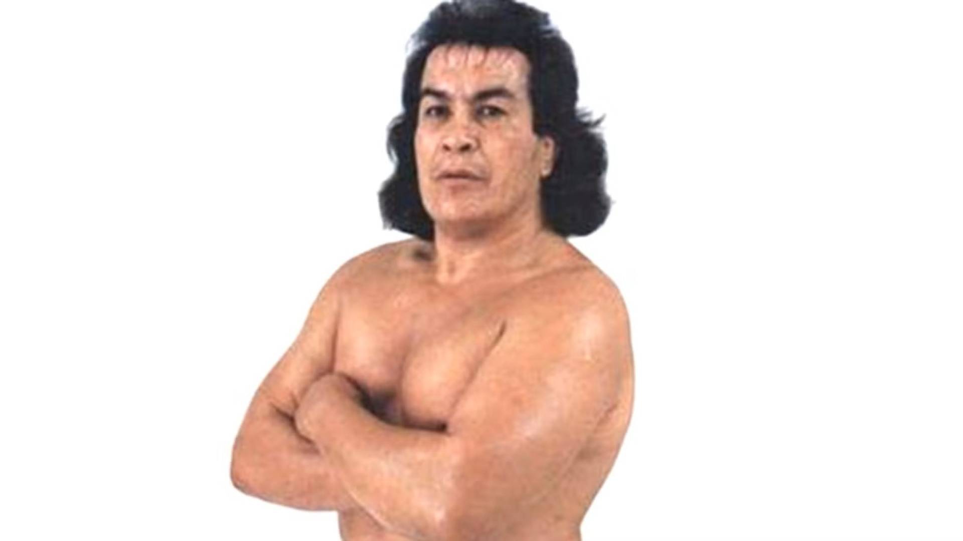 6- Perro Aguayo