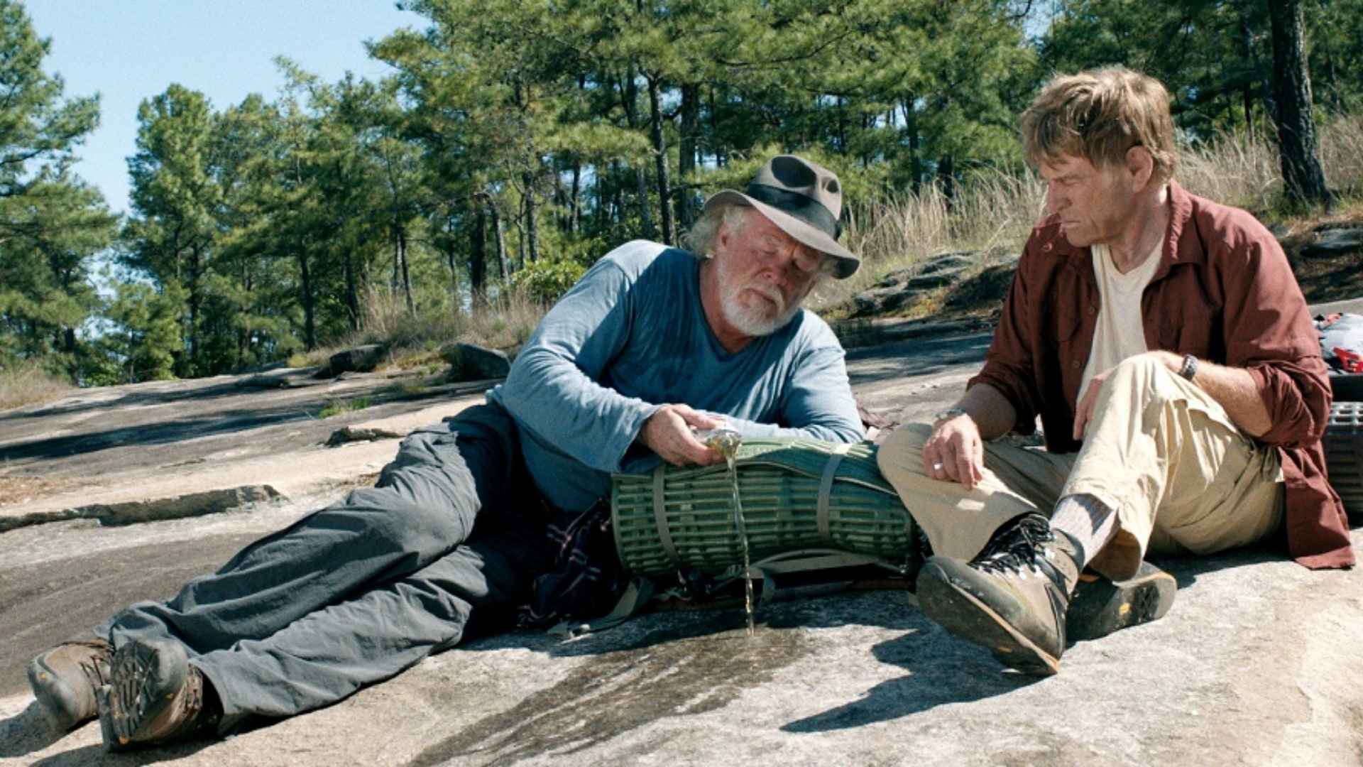 A Walk in the Woods (2015)