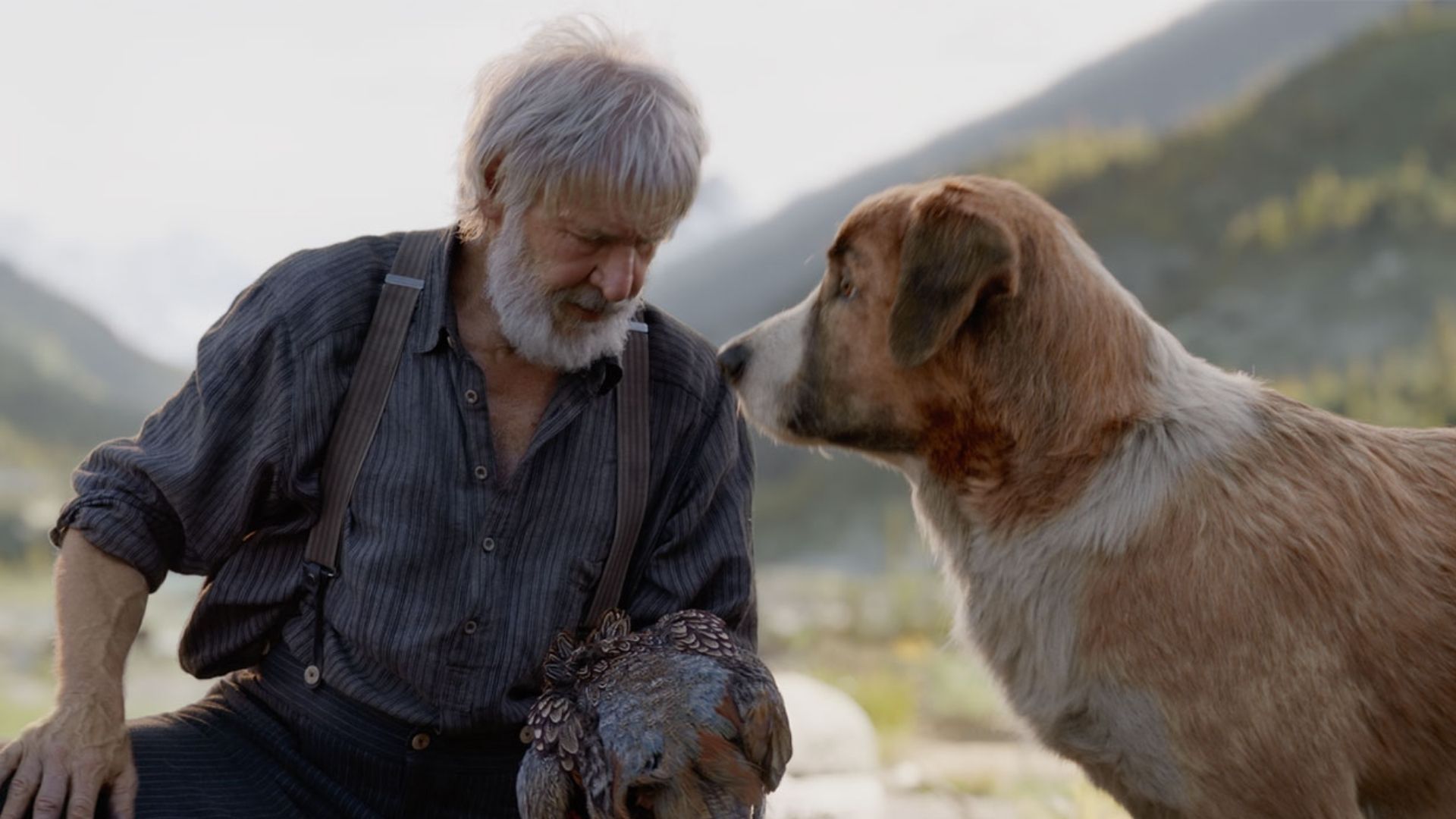 The Call of the Wild (2020)