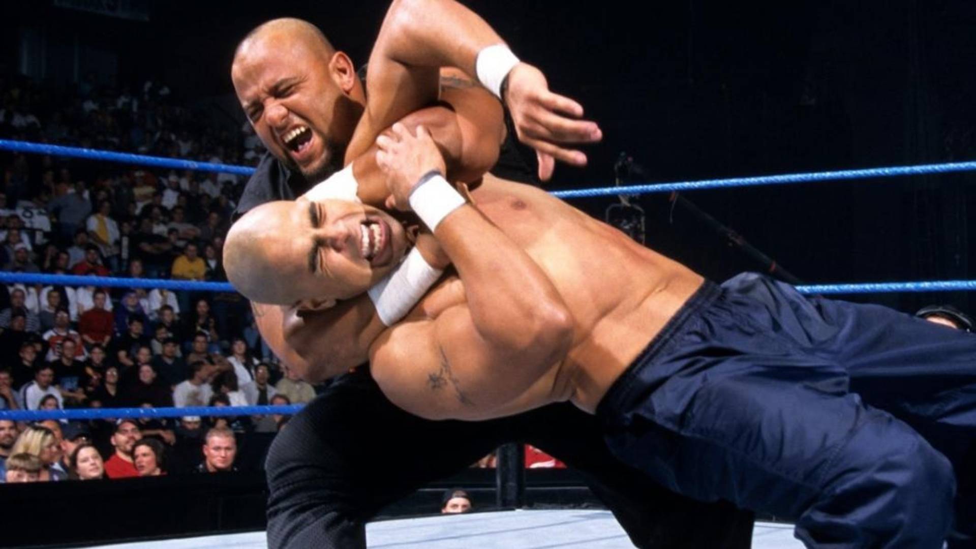 13- Tazz's Tazzmission