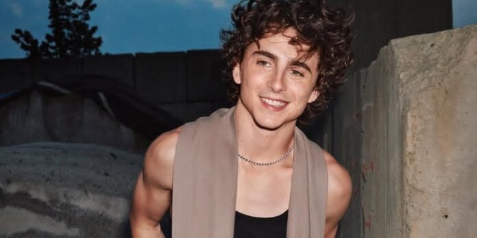 Timothee Chalamet (Image: GQ)