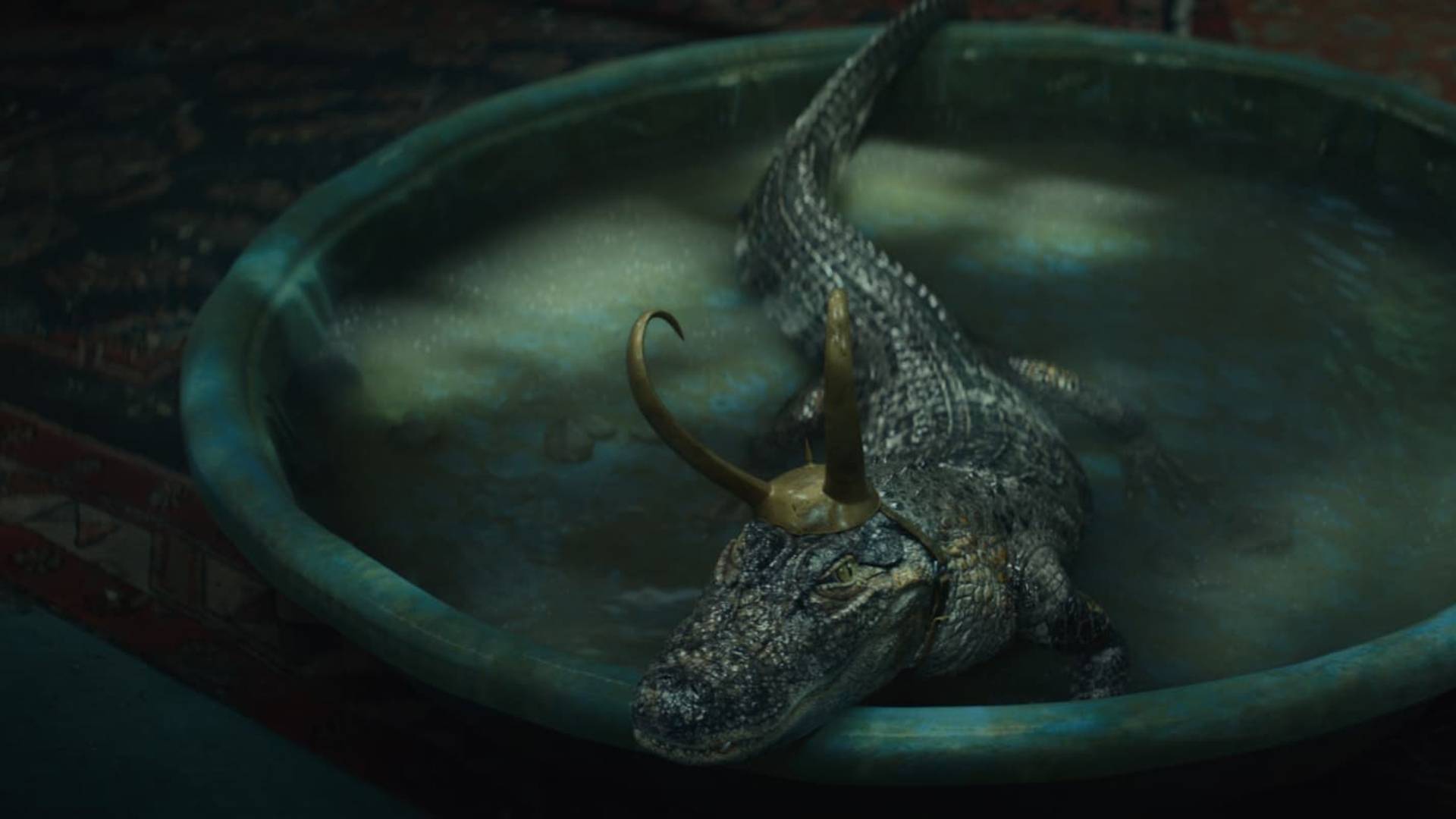 Alligator Loki Was Based on a Real Alligator