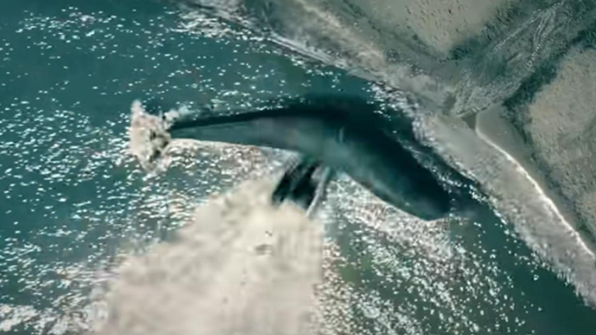 The Whale Scene Was a Disgusting, Practical Nightmare