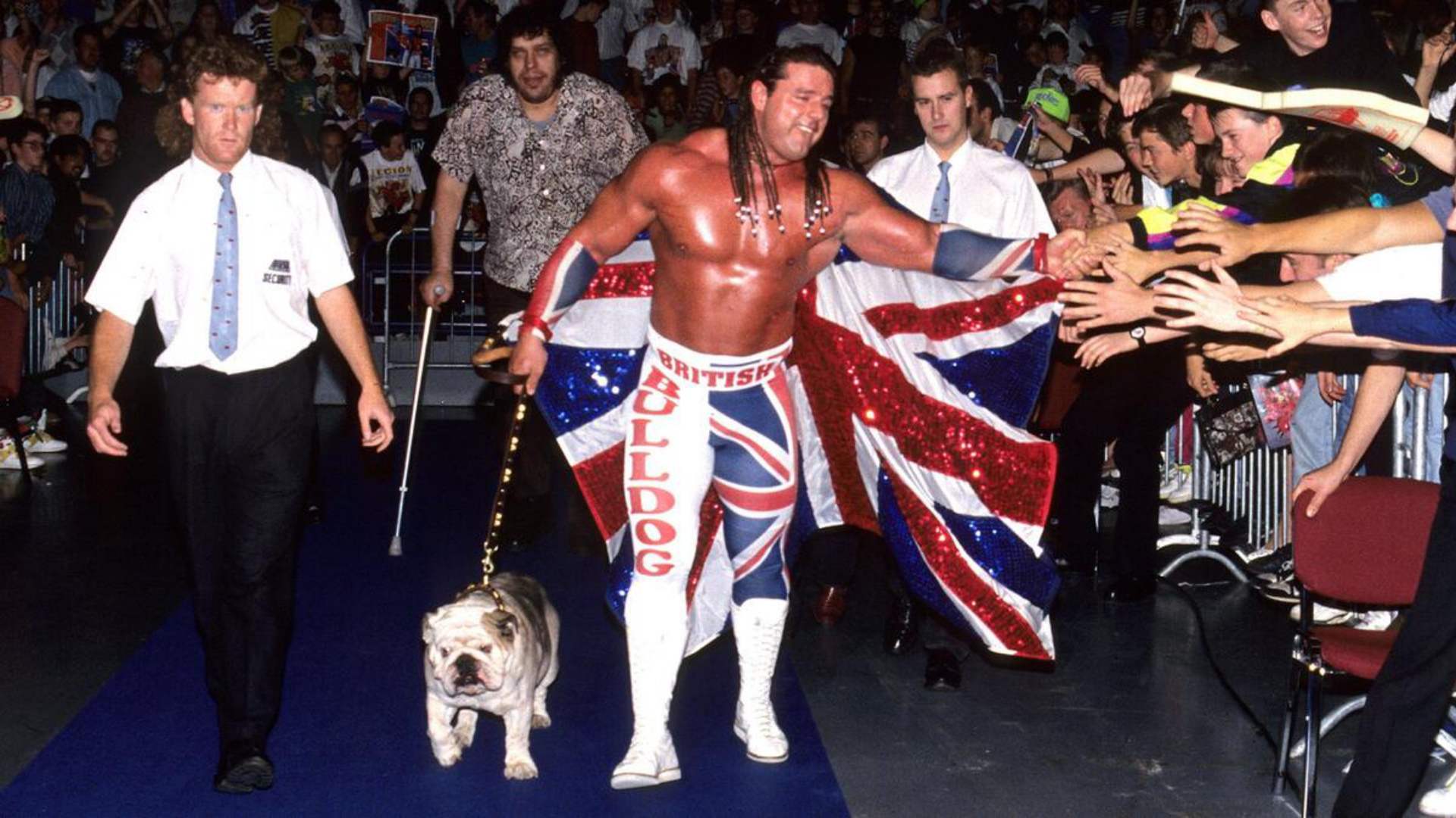 7- The British Bulldog