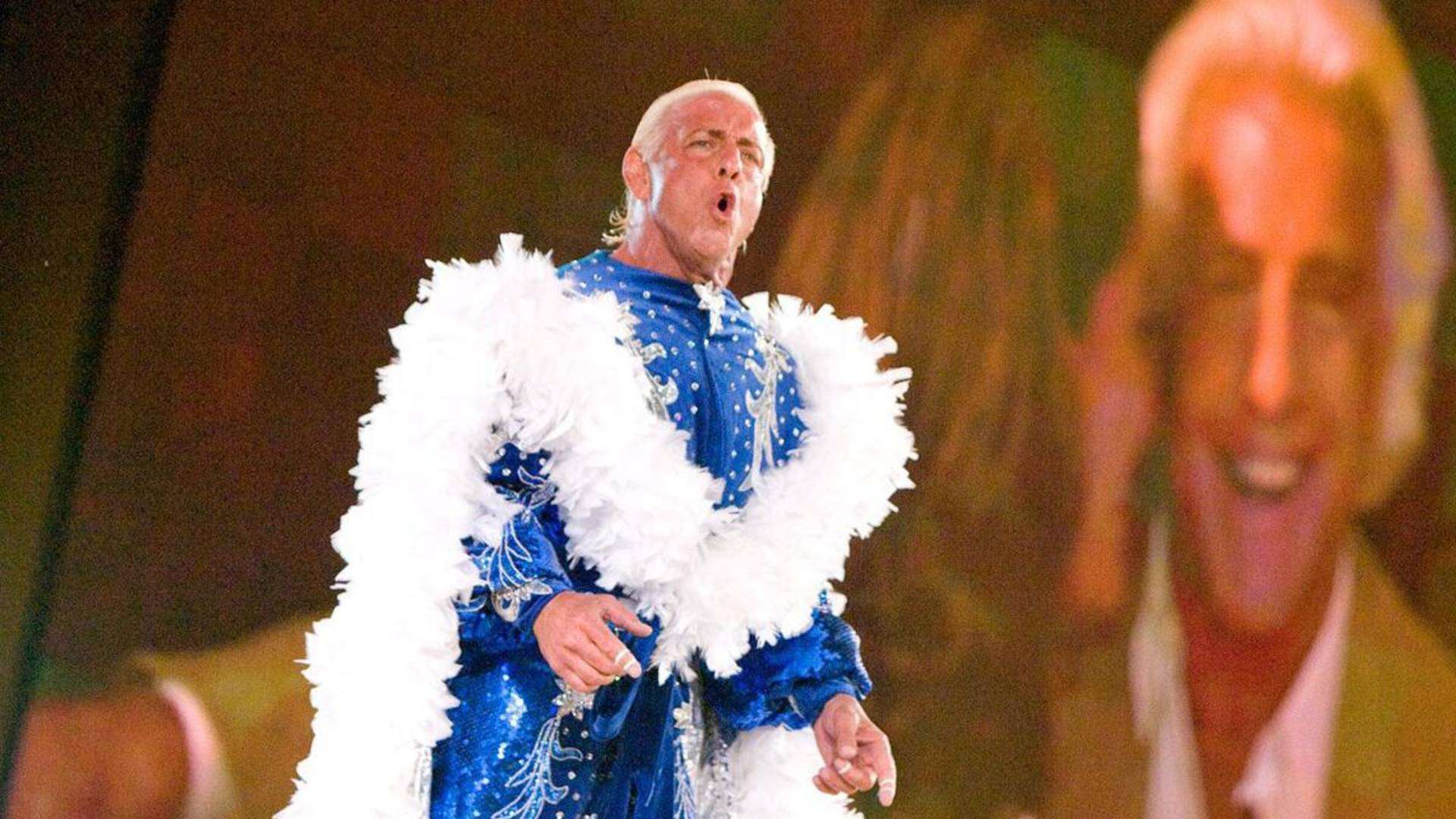 6- Ric Flair's Wooo! & The Nature Boy Strut