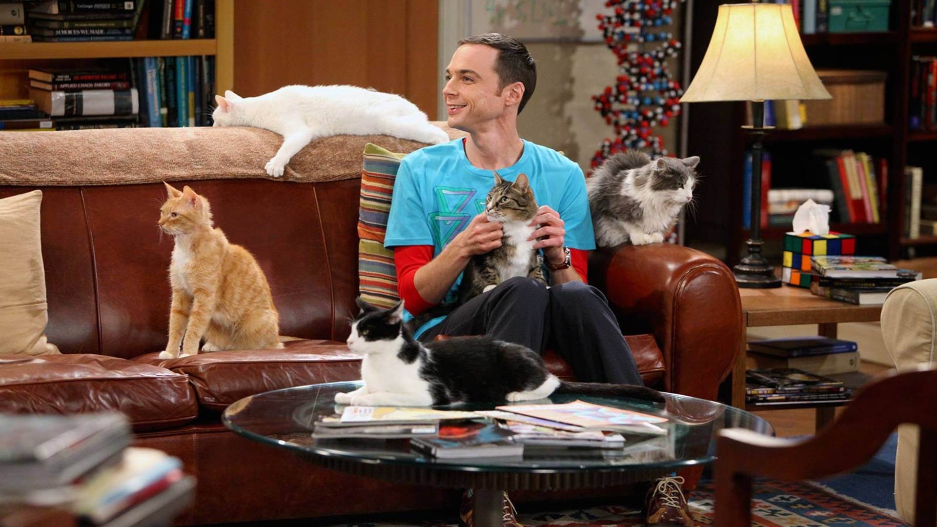 The "Zazzy" Incident