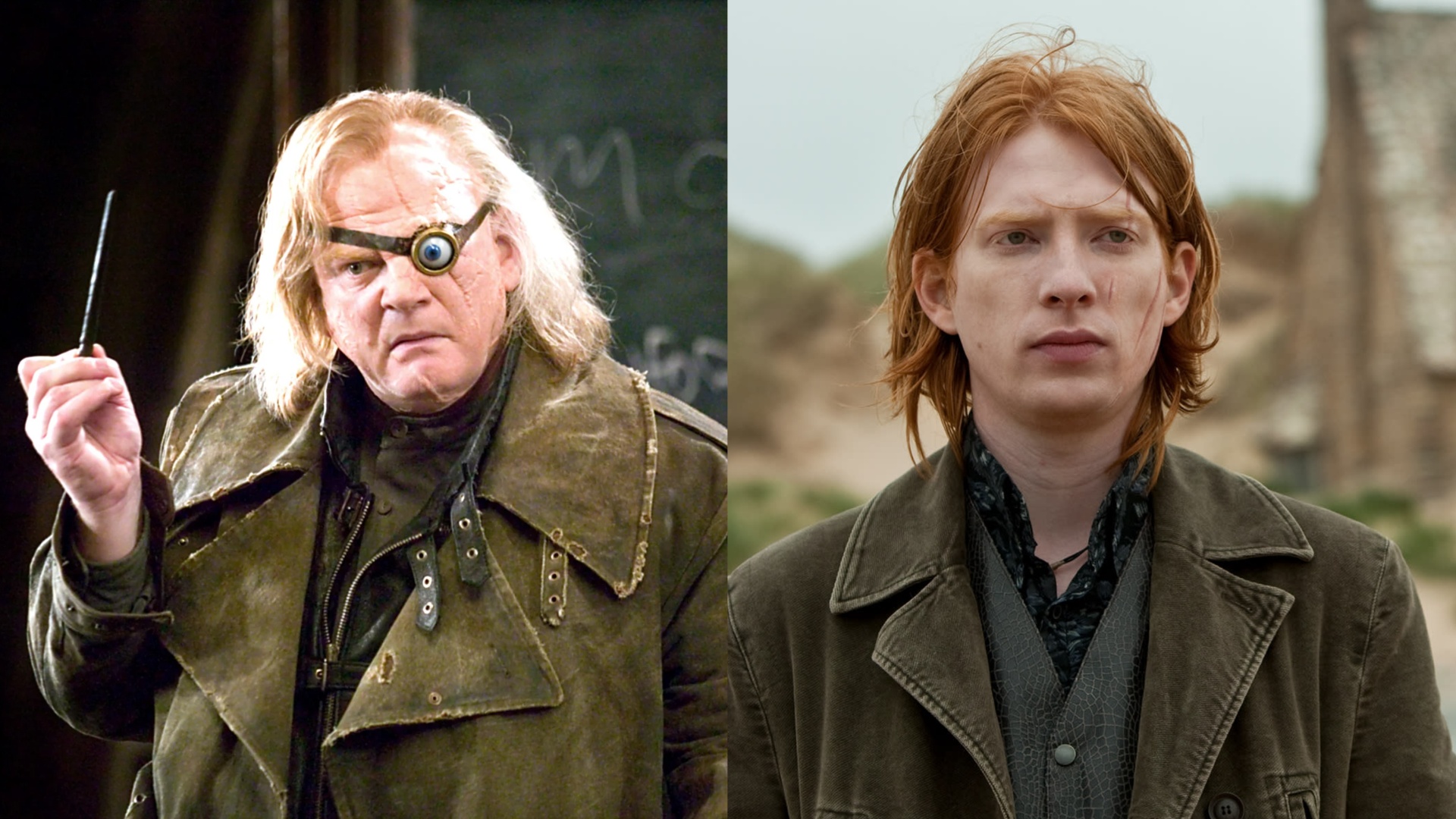 Brendan and Domhnall Gleeson - Harry Potter and the Deathly Hallows – Part 1 (2010)