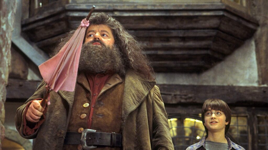 Rubeus Hagrid