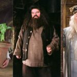 Neville Longbottom, Rubeus Hagrid, Albus Dumbledore
