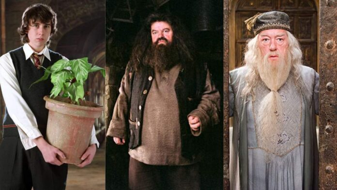 Neville Longbottom, Rubeus Hagrid, Albus Dumbledore