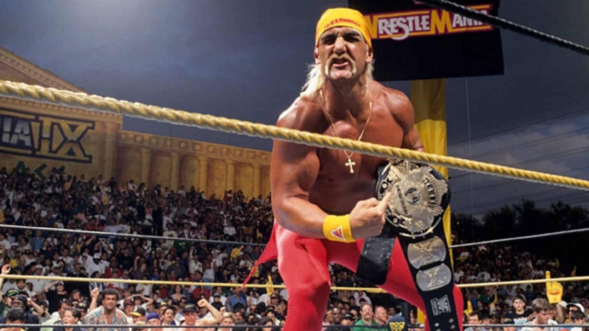 6.⁠ ⁠WrestleMania IX (1993)