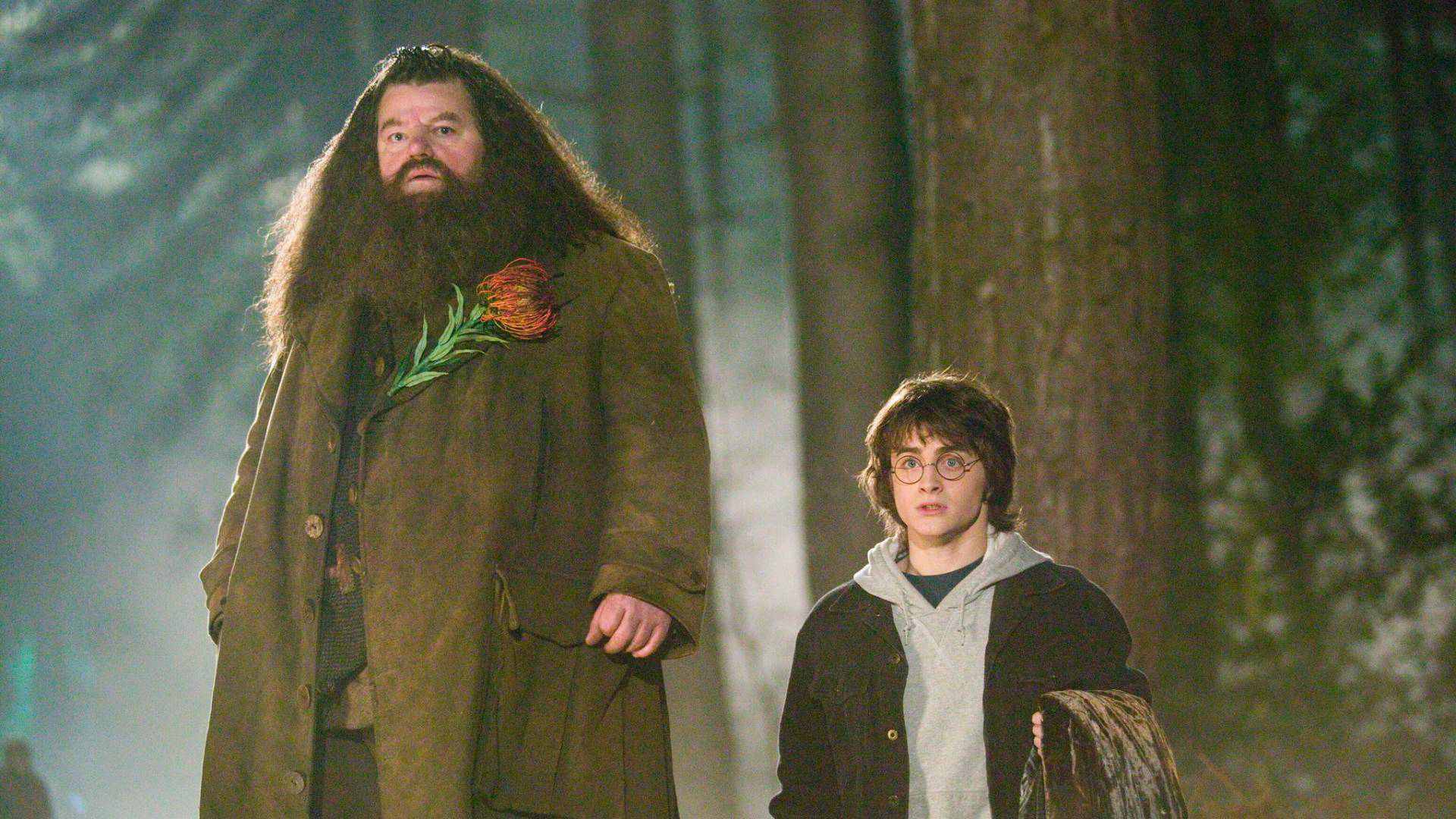 Comforting Harry After the Tournament (Goblet of Fire)