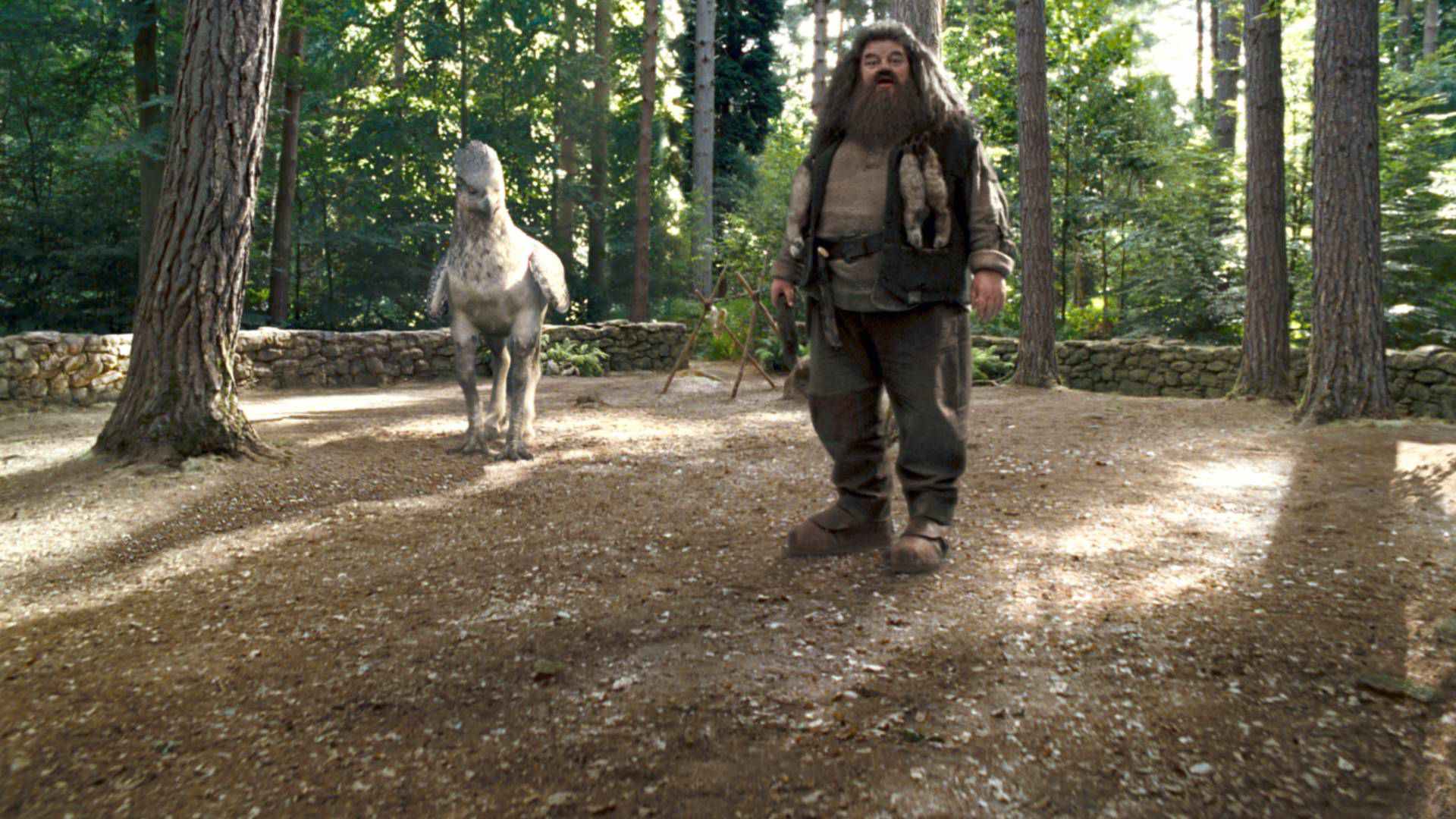 The First Lesson on Hippogriffs (Prisoner of Azkaban)