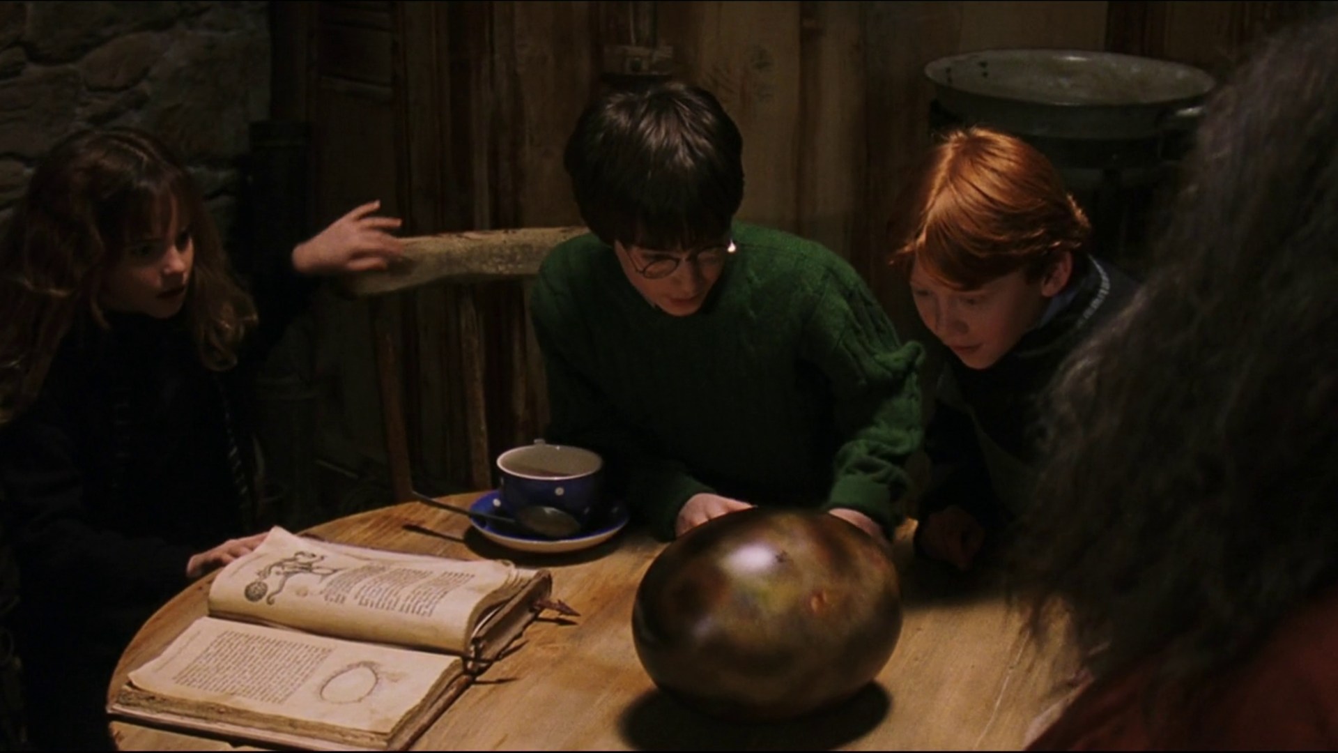Showing Harry the Dragons (Goblet of Fire)