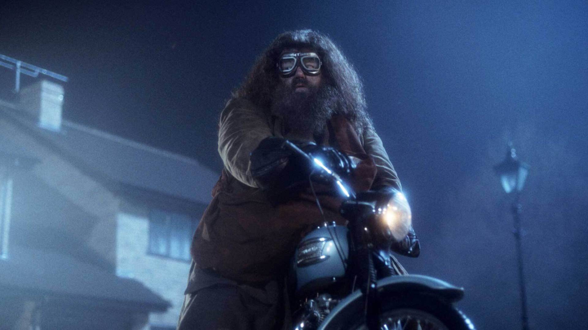 Rubeus Hagrid